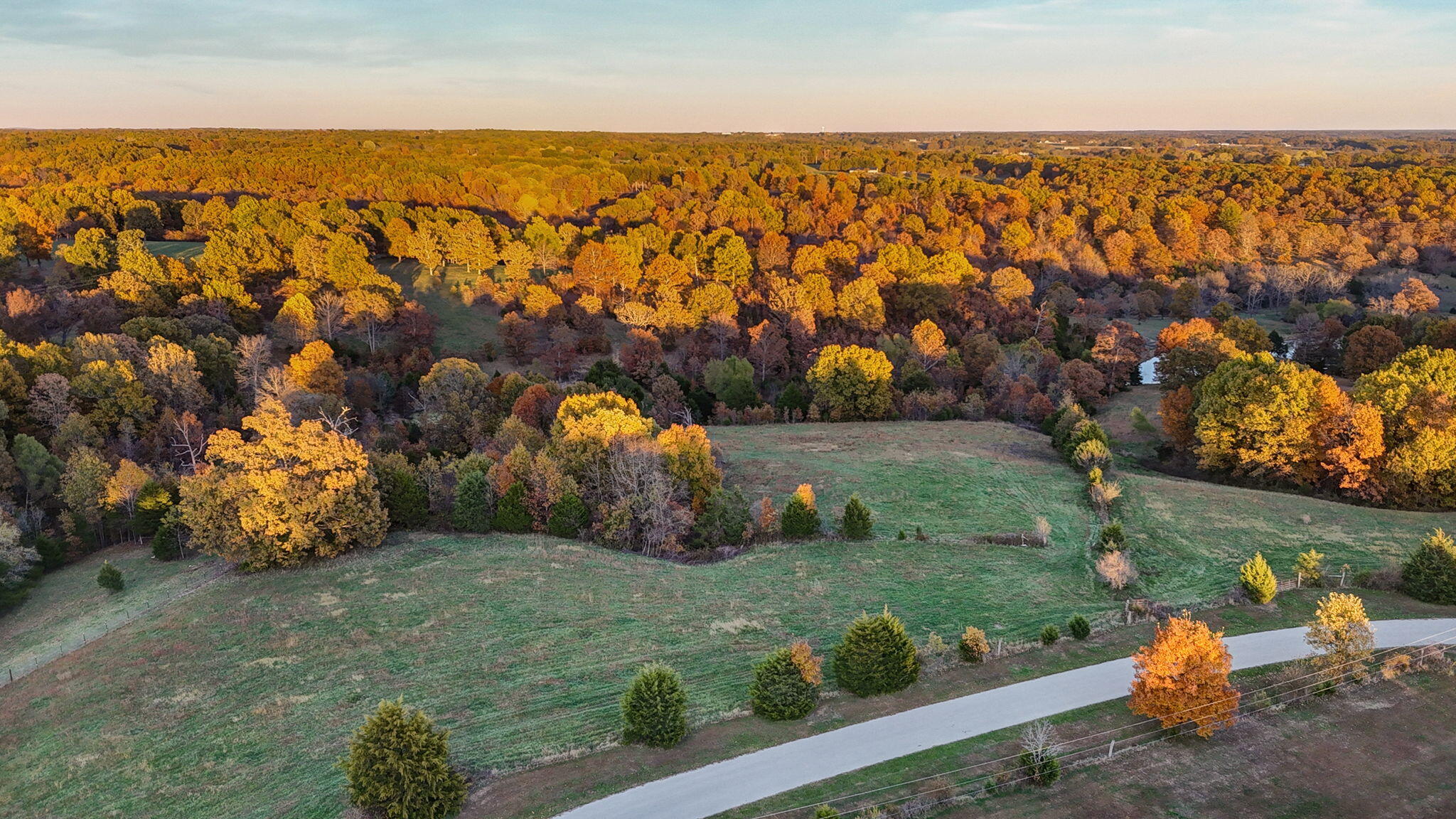 Photo 10 - Land for sale – 000  Weatherby Drive  Fordland, MO