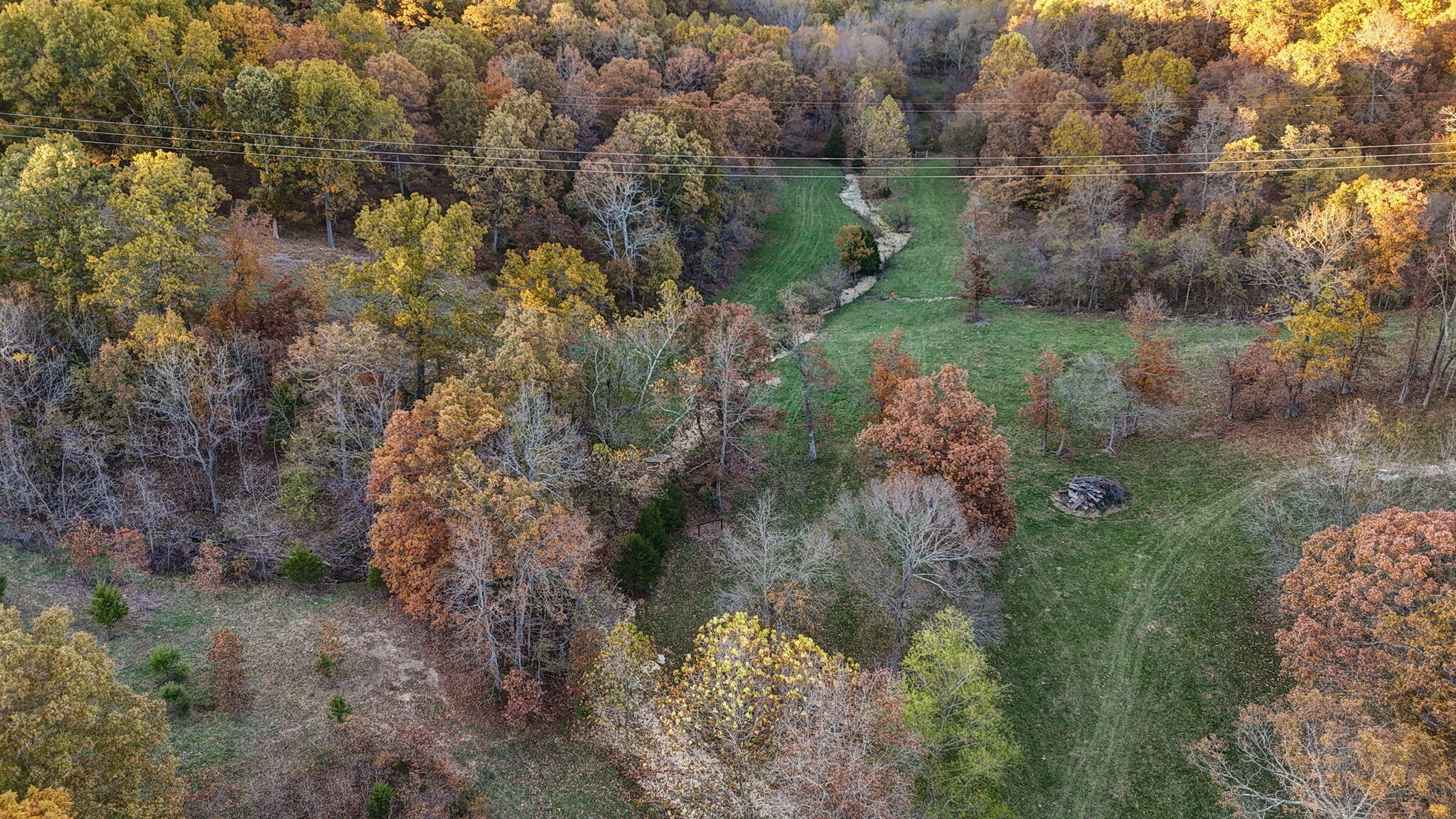 Photo 7 - Land for sale – 000  Weatherby Drive  Fordland, MO