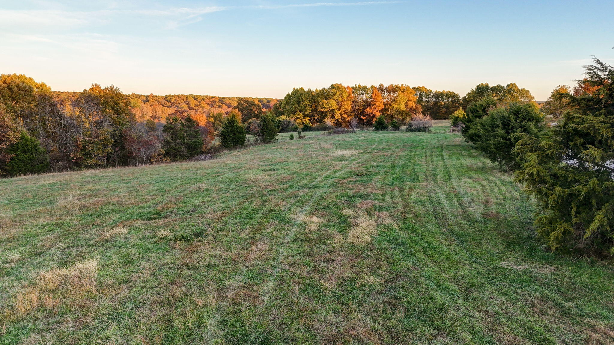 Photo 13 - Land for sale – 000  Weatherby Drive  Fordland, MO
