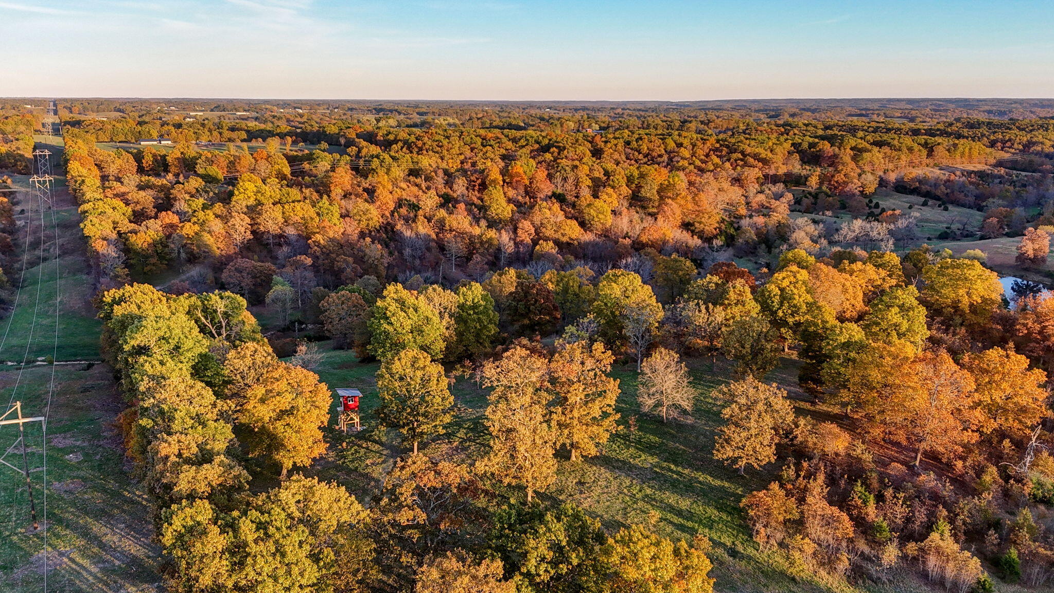 Photo 9 - Land for sale – 000  Weatherby Drive  Fordland, MO