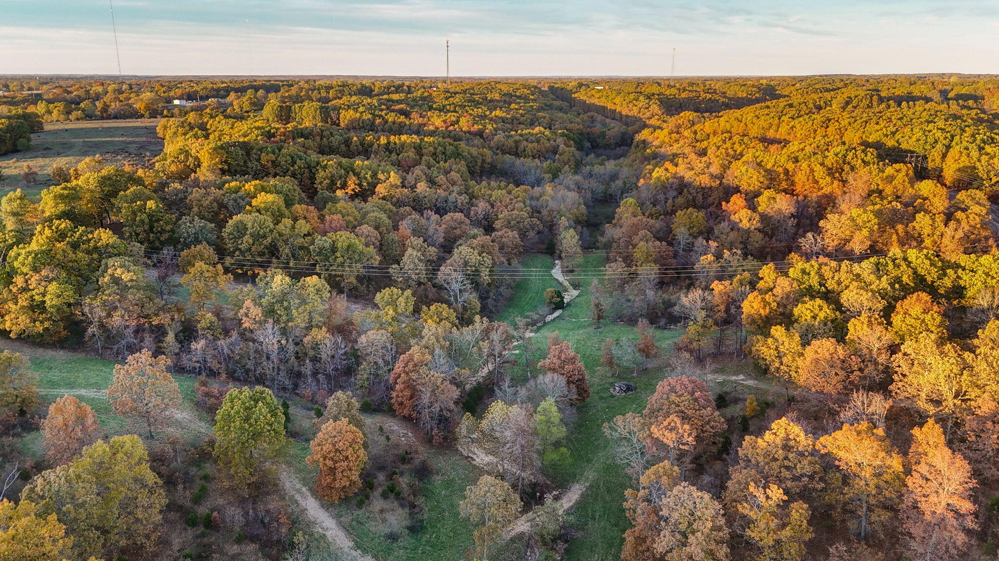 Photo 6 - Land for sale – 000  Weatherby Drive  Fordland, MO