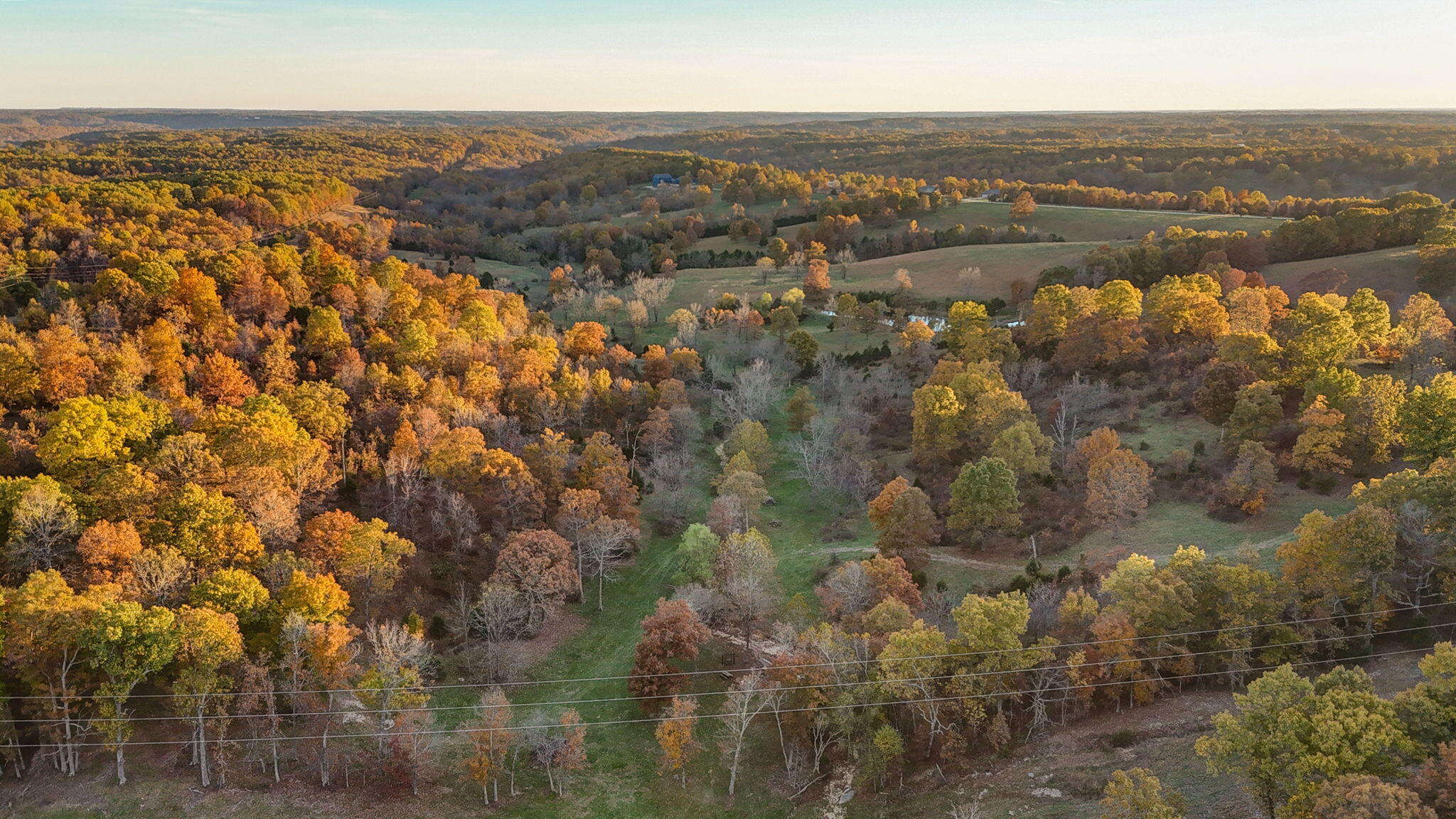 Photo 5 - Land for sale – 000  Weatherby Drive  Fordland, MO