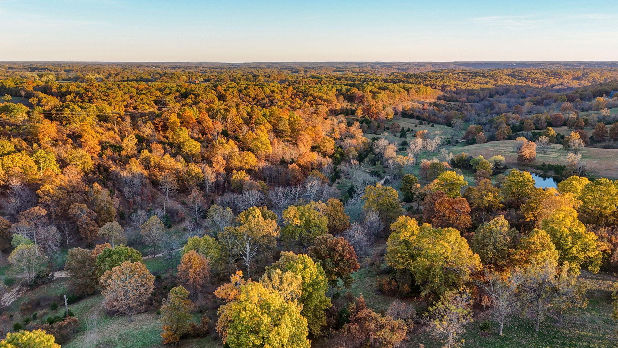 Photo 8 - Land for sale – 000  Weatherby Drive  Fordland, MO
