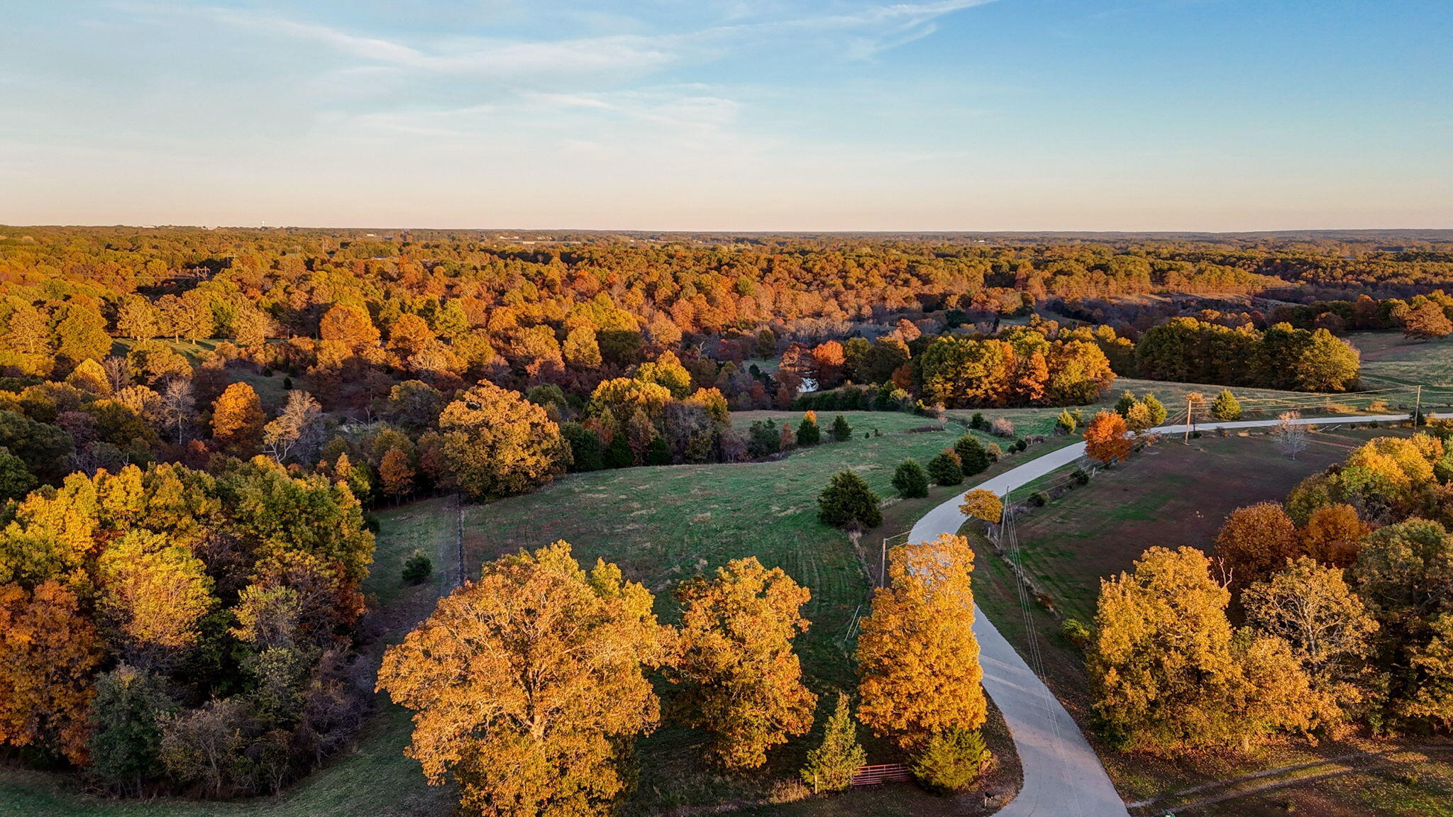 Photo 11 - Land for sale – 000  Weatherby Drive  Fordland, MO