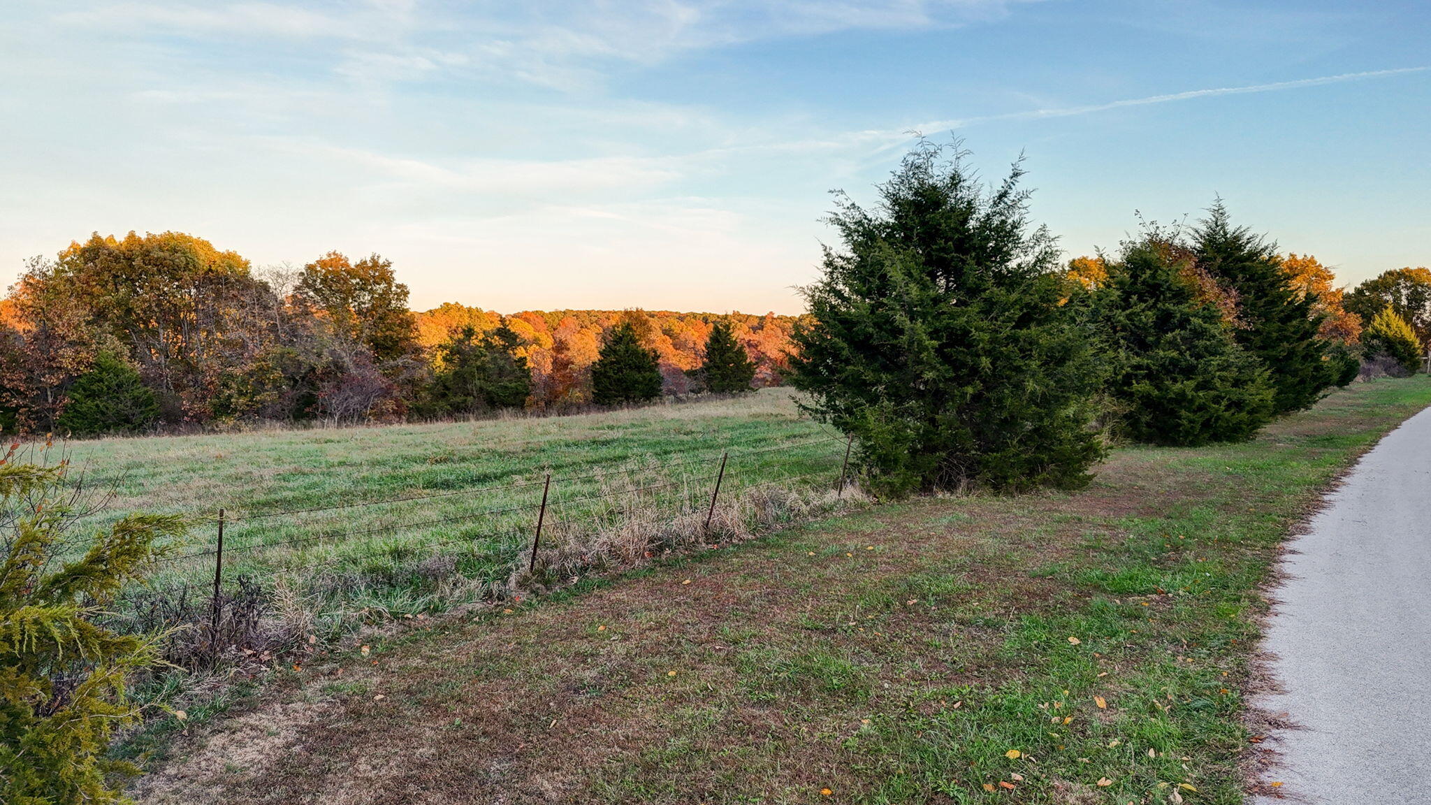 Photo 14 - Land for sale – 000  Weatherby Drive  Fordland, MO