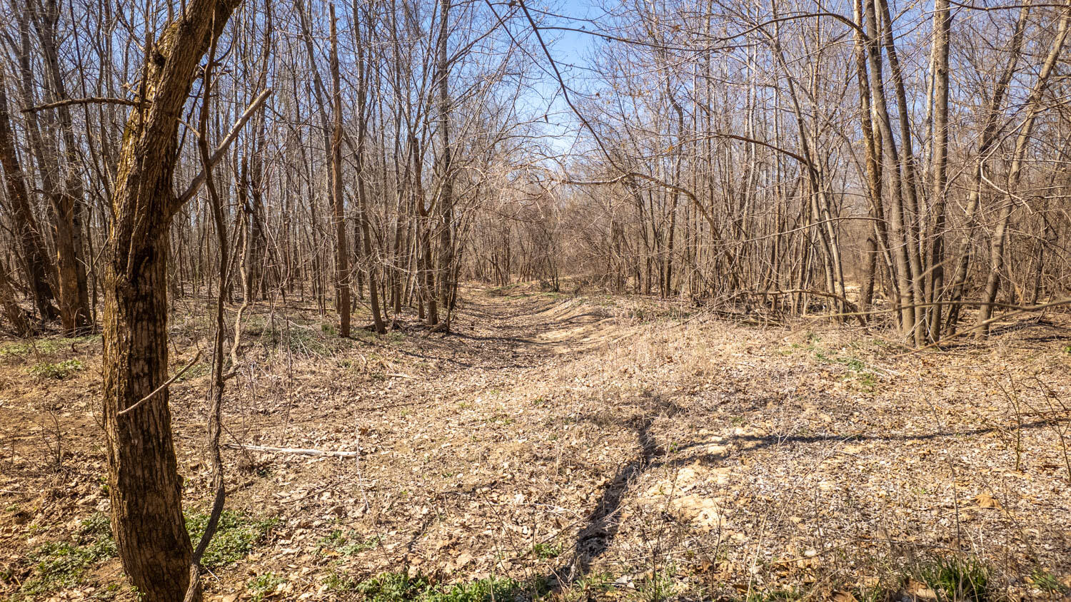 Photo 36 - Land for sale – 100  Ash Street  Van Buren, MO