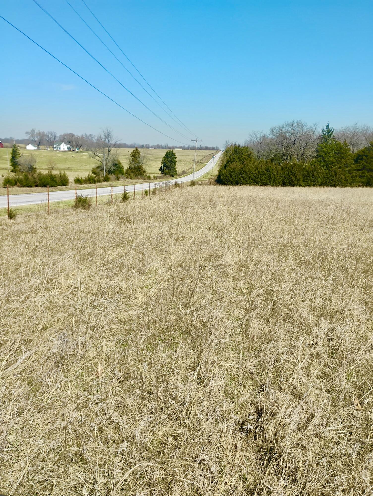 Photo 2 - Land for sale – 000  State Highway 83   Weaubleau, MO