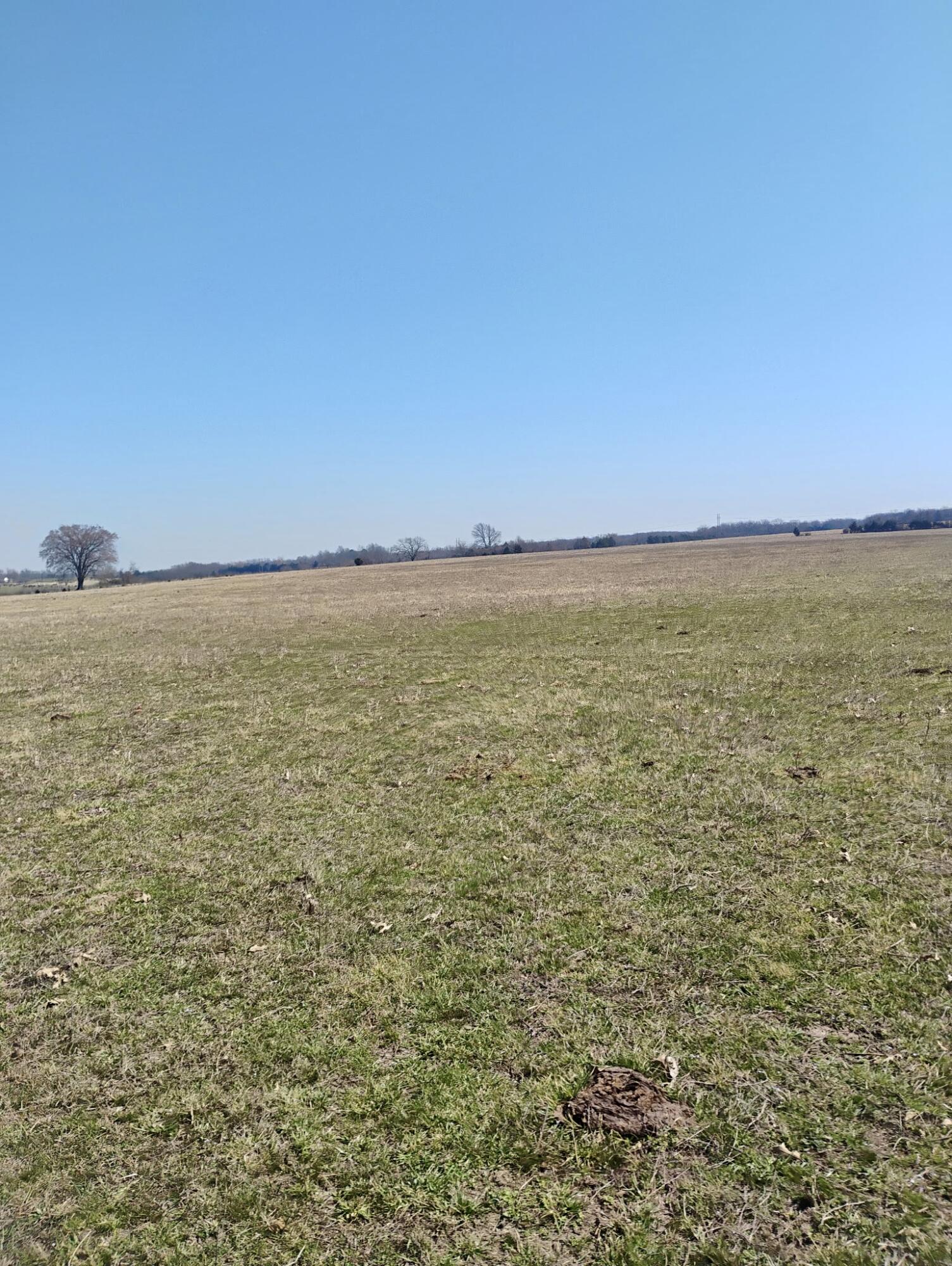 Photo 5 - Land for sale – 000  State Highway 83   Weaubleau, MO