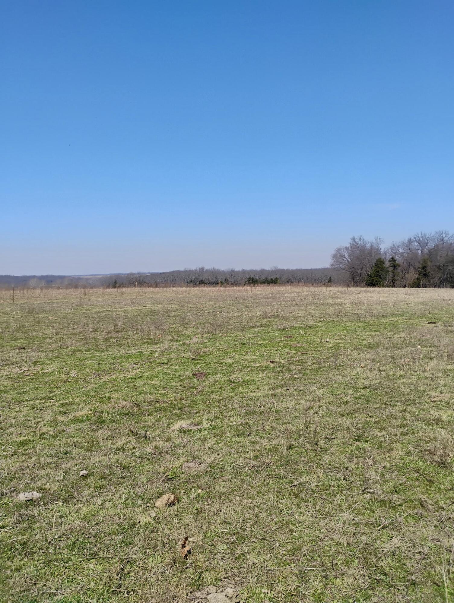 Photo 4 - Land for sale – 000  State Highway 83   Weaubleau, MO