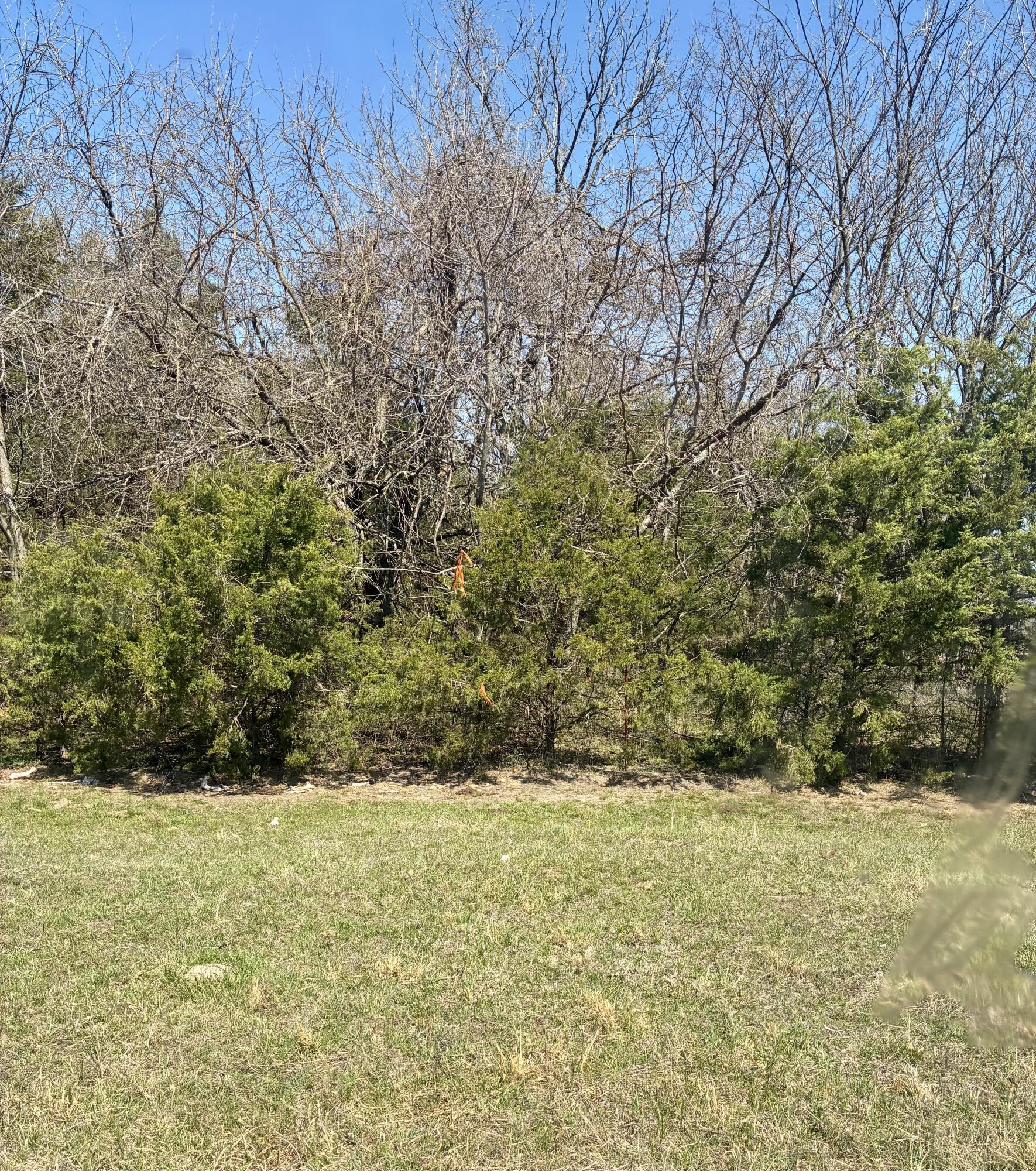 Photo 3 - Land for sale – 000  State Highway 83   Weaubleau, MO
