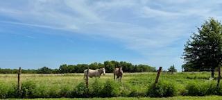 Land for sale – 000  State Highway 83   Weaubleau, MO