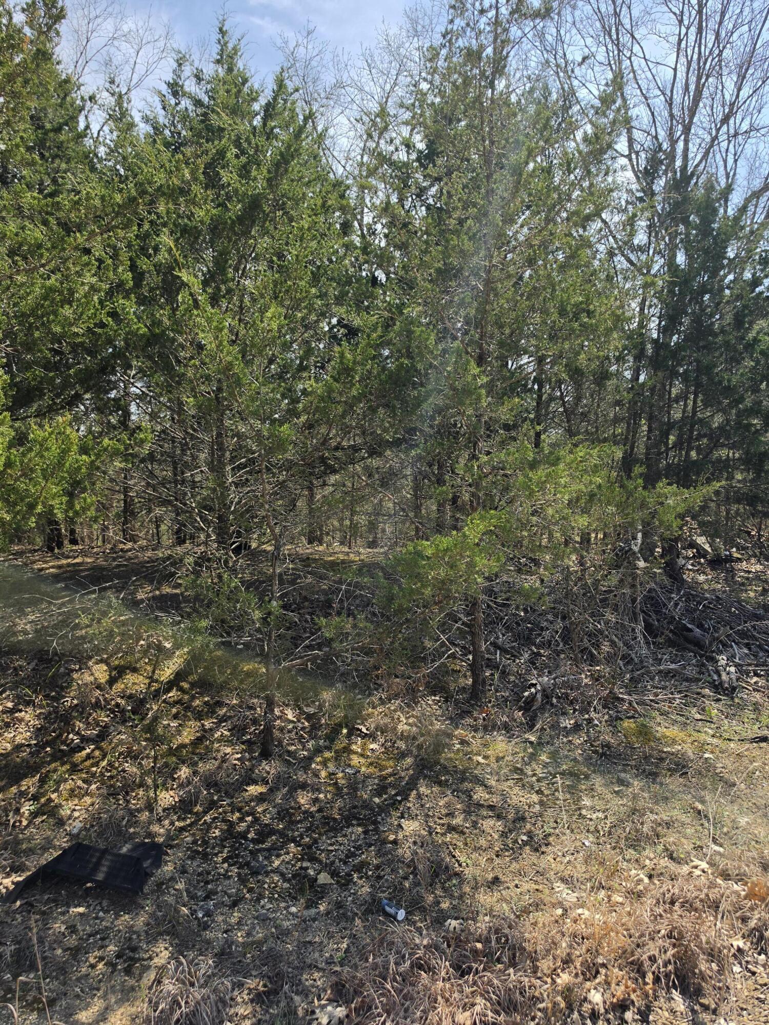 Photo 16 - Land for sale – 000  Beeler Road  Branson, MO