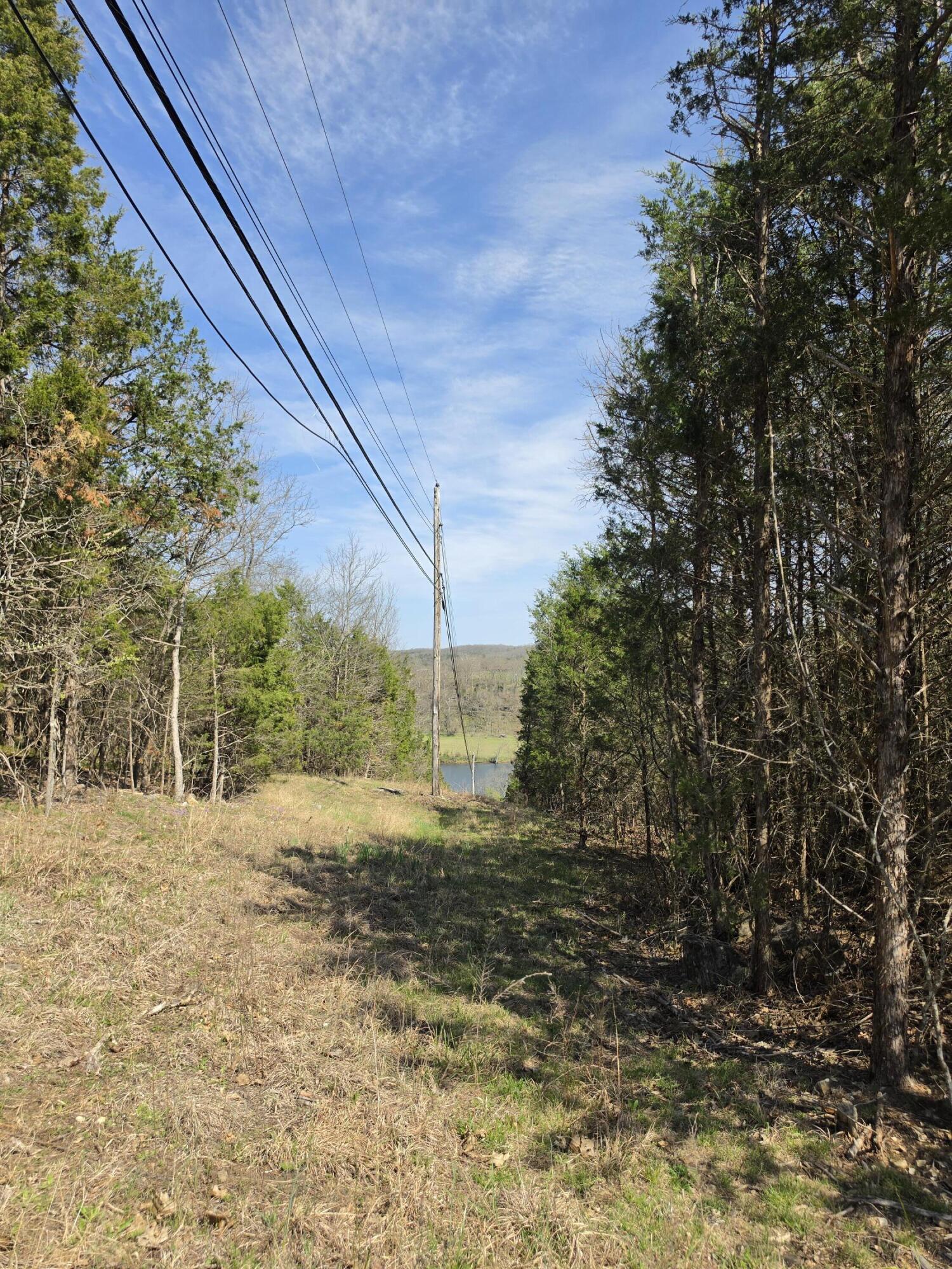 Photo 8 - Land for sale – 000  Beeler Road  Branson, MO