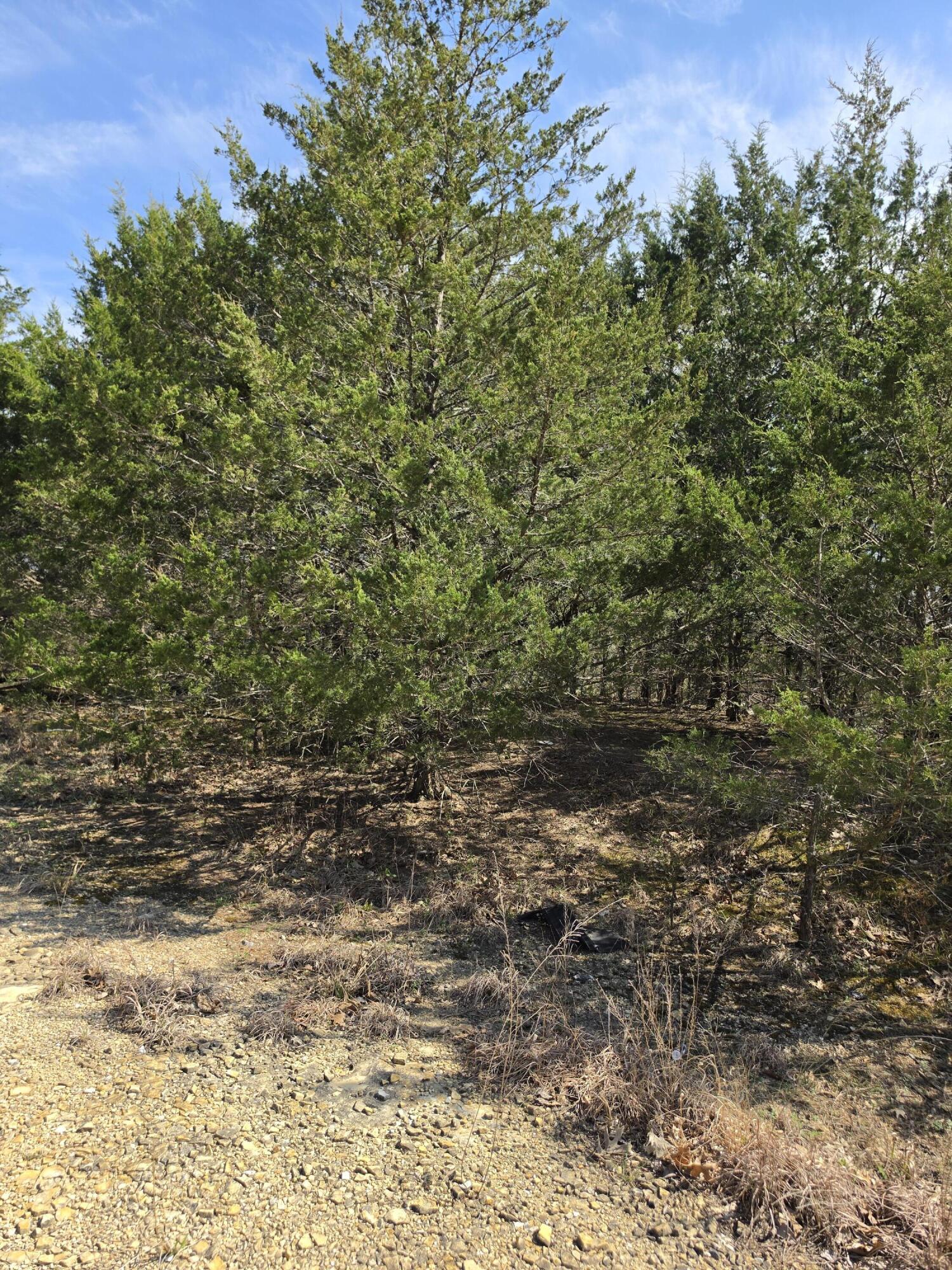 Photo 4 - Land for sale – 000  Beeler Road  Branson, MO