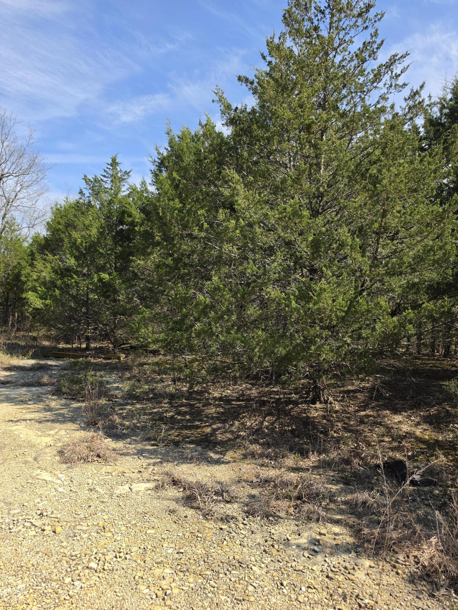 Photo 5 - Land for sale – 000  Beeler Road  Branson, MO