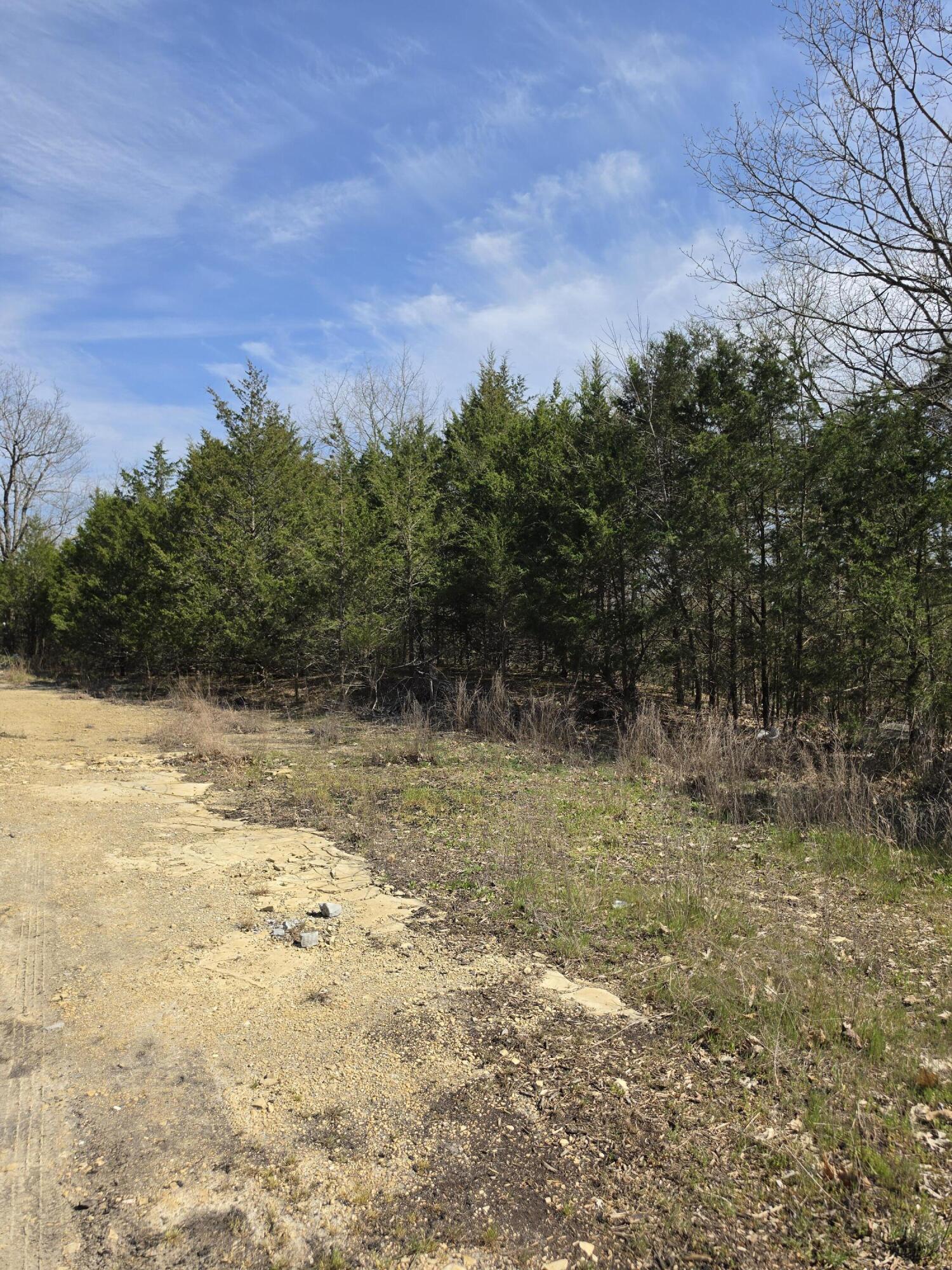 Photo 3 - Land for sale – 000  Beeler Road  Branson, MO