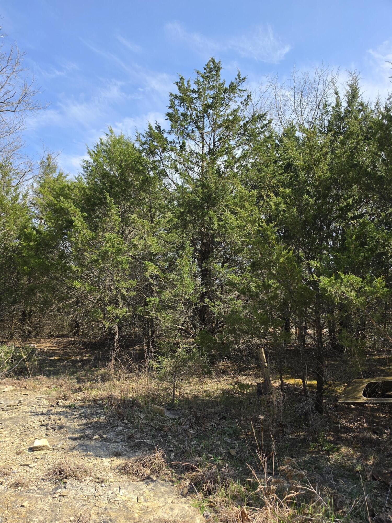 Photo 6 - Land for sale – 000  Beeler Road  Branson, MO