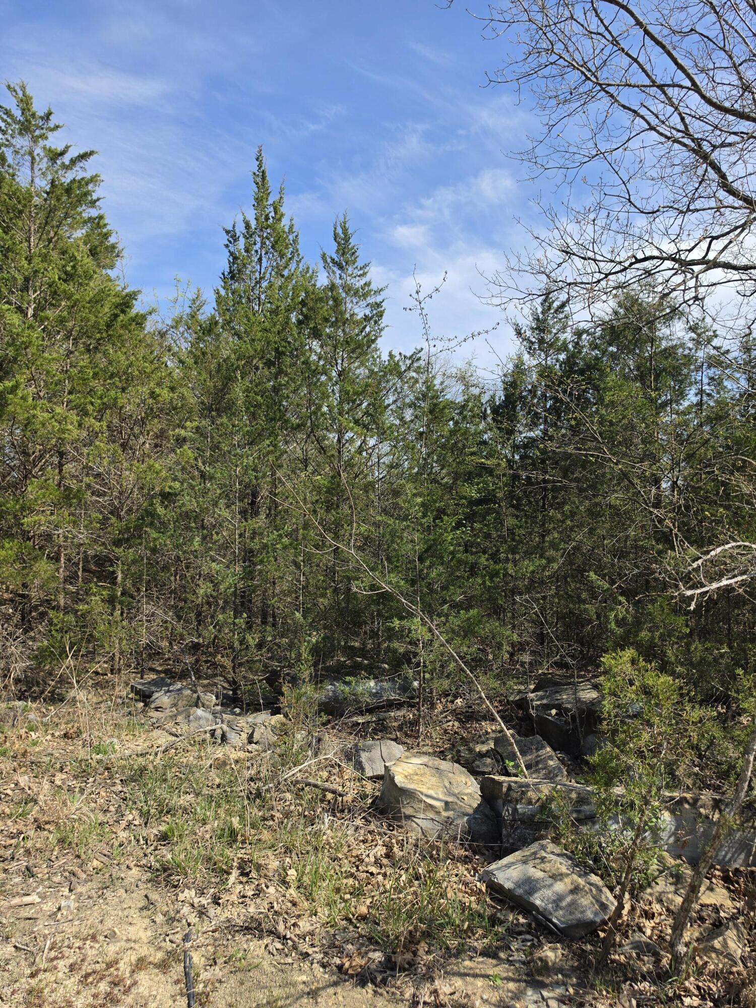 Photo 7 - Land for sale – 000  Beeler Road  Branson, MO