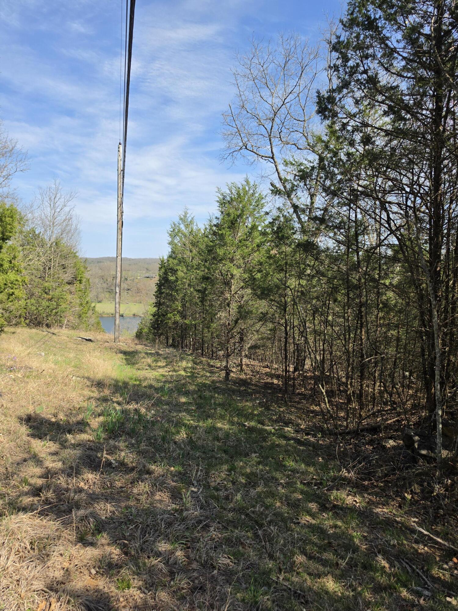 Photo 9 - Land for sale – 000  Beeler Road  Branson, MO