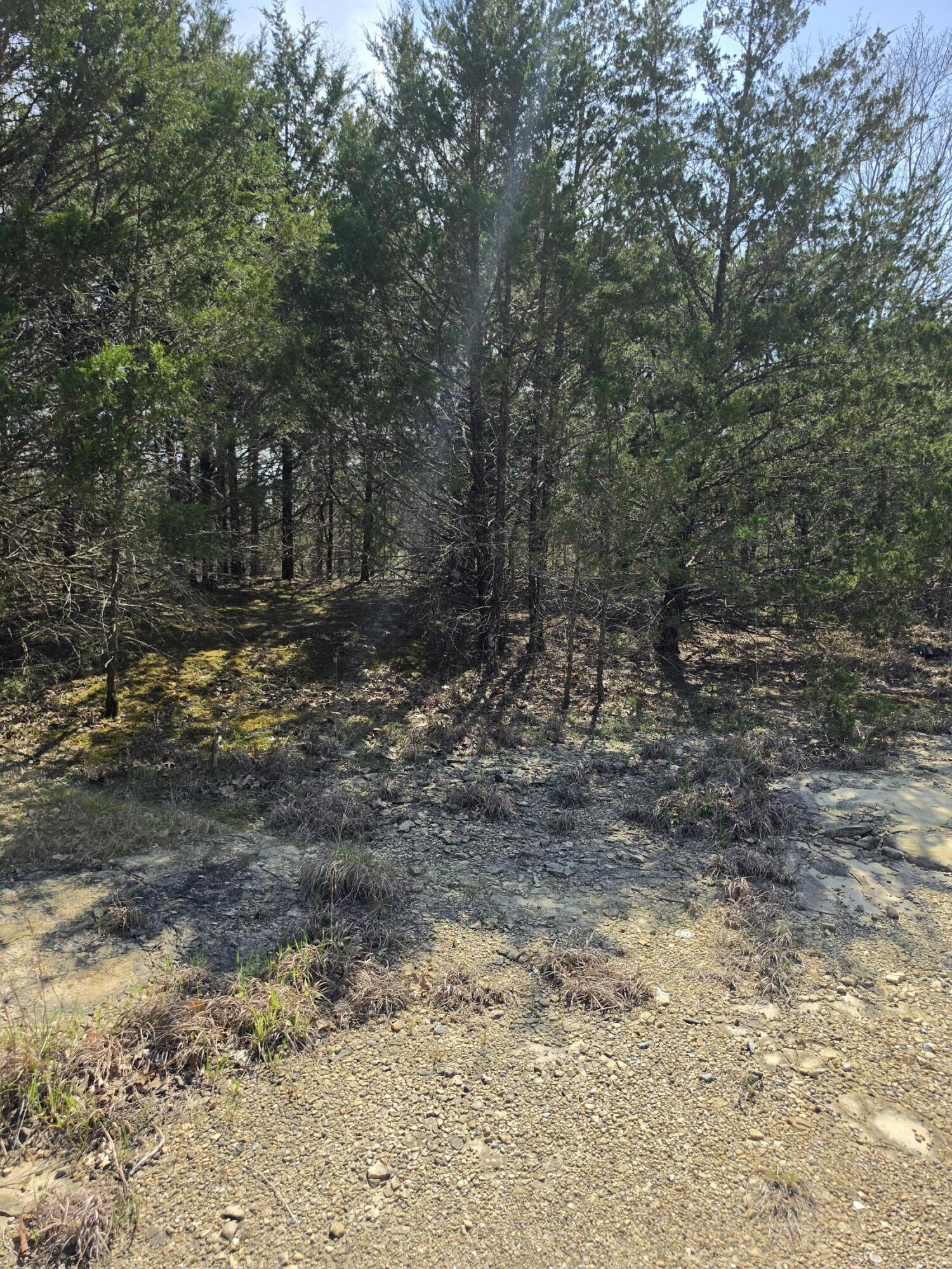 Photo 13 - Land for sale – 000  Beeler Road  Branson, MO