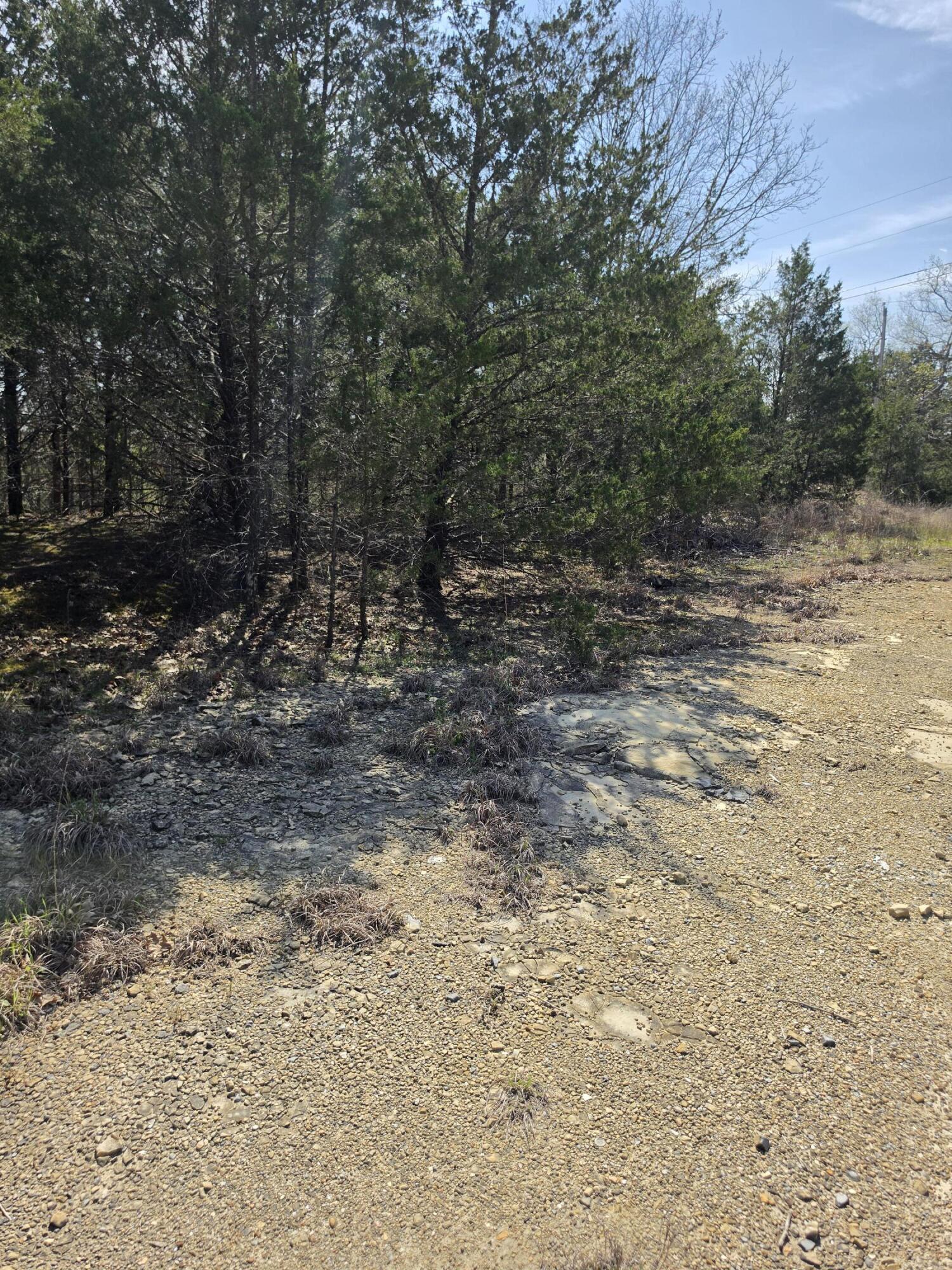Photo 14 - Land for sale – 000  Beeler Road  Branson, MO