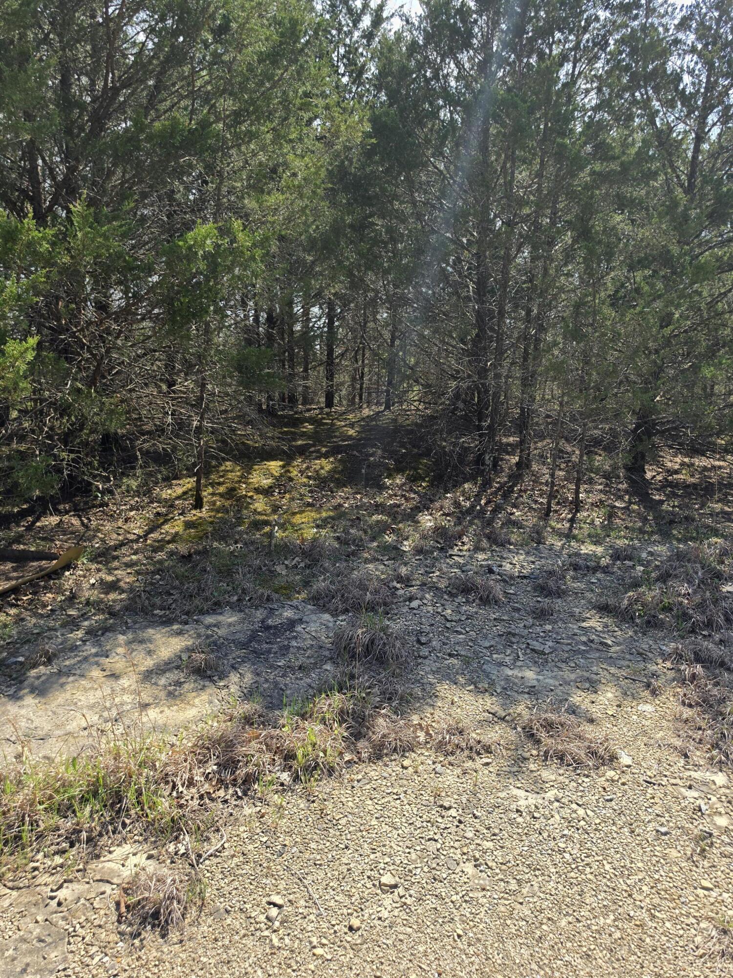 Photo 15 - Land for sale – 000  Beeler Road  Branson, MO