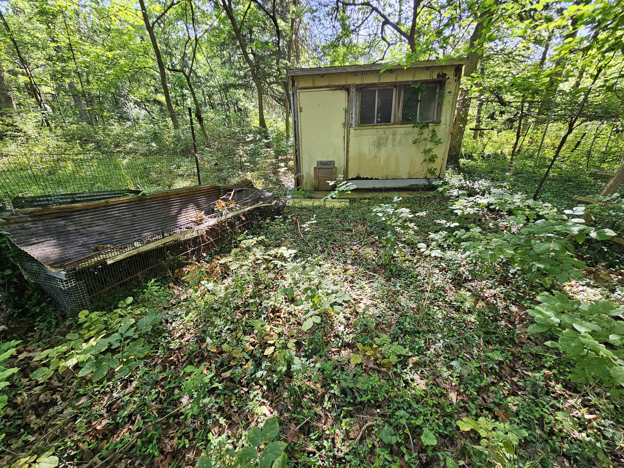 Photo 35 - Residential for sale – 22303  County Road 253   Wheatland, MO