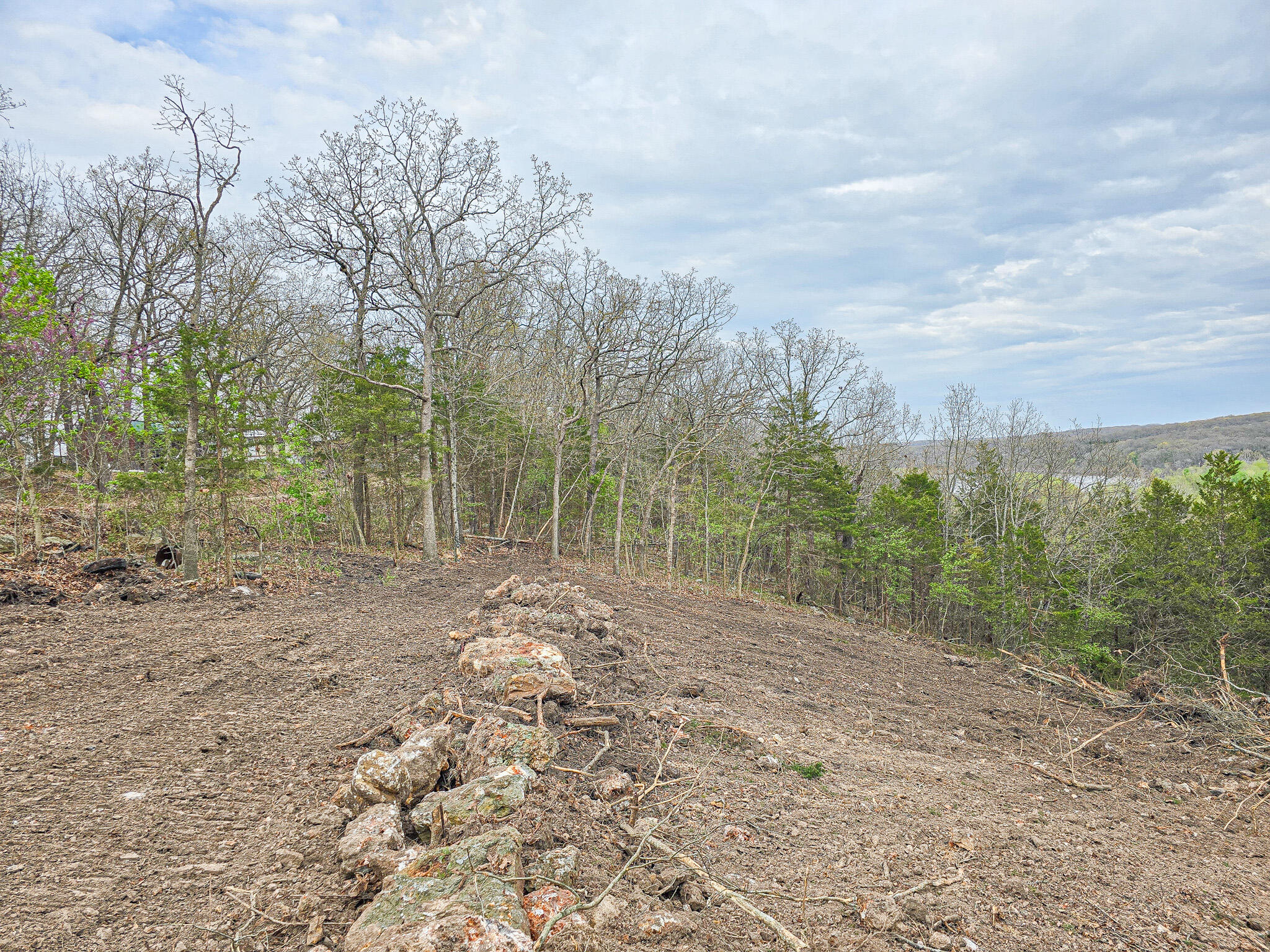 Photo 3 - Land for sale – 00  Easy Street   Pittsburg, MO