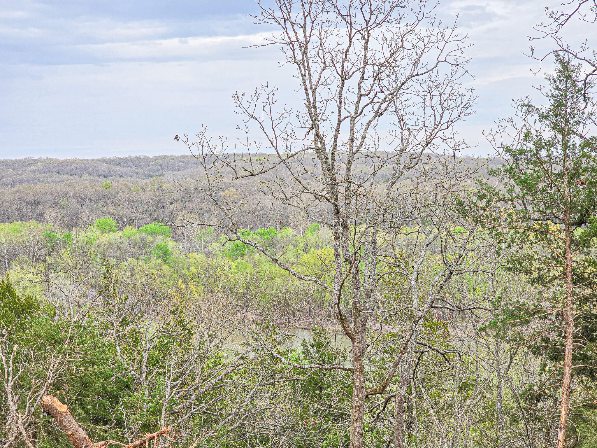 Photo 4 - Land for sale – 00  Easy Street   Pittsburg, MO