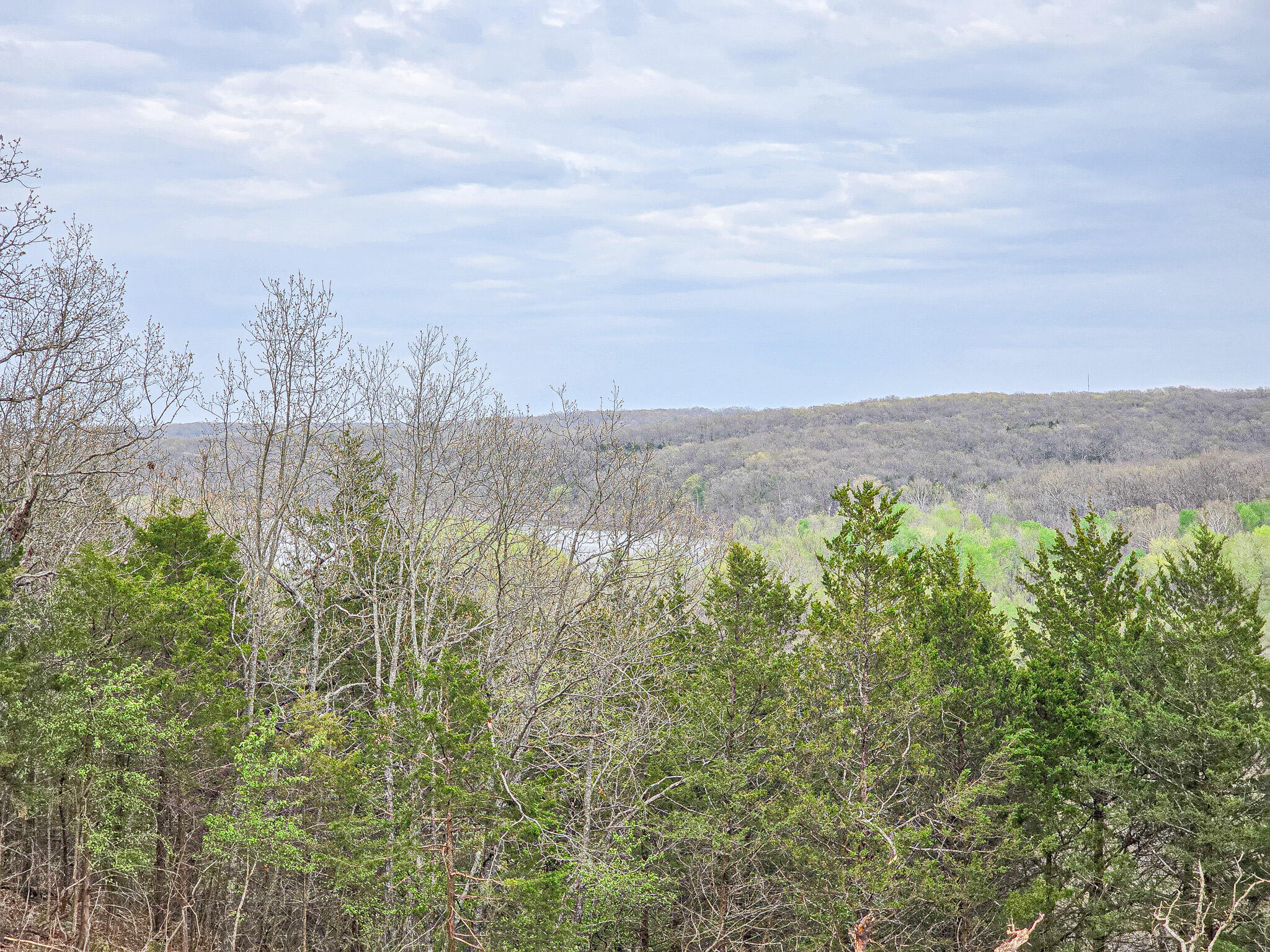Photo 5 - Land for sale – 00  Easy Street   Pittsburg, MO