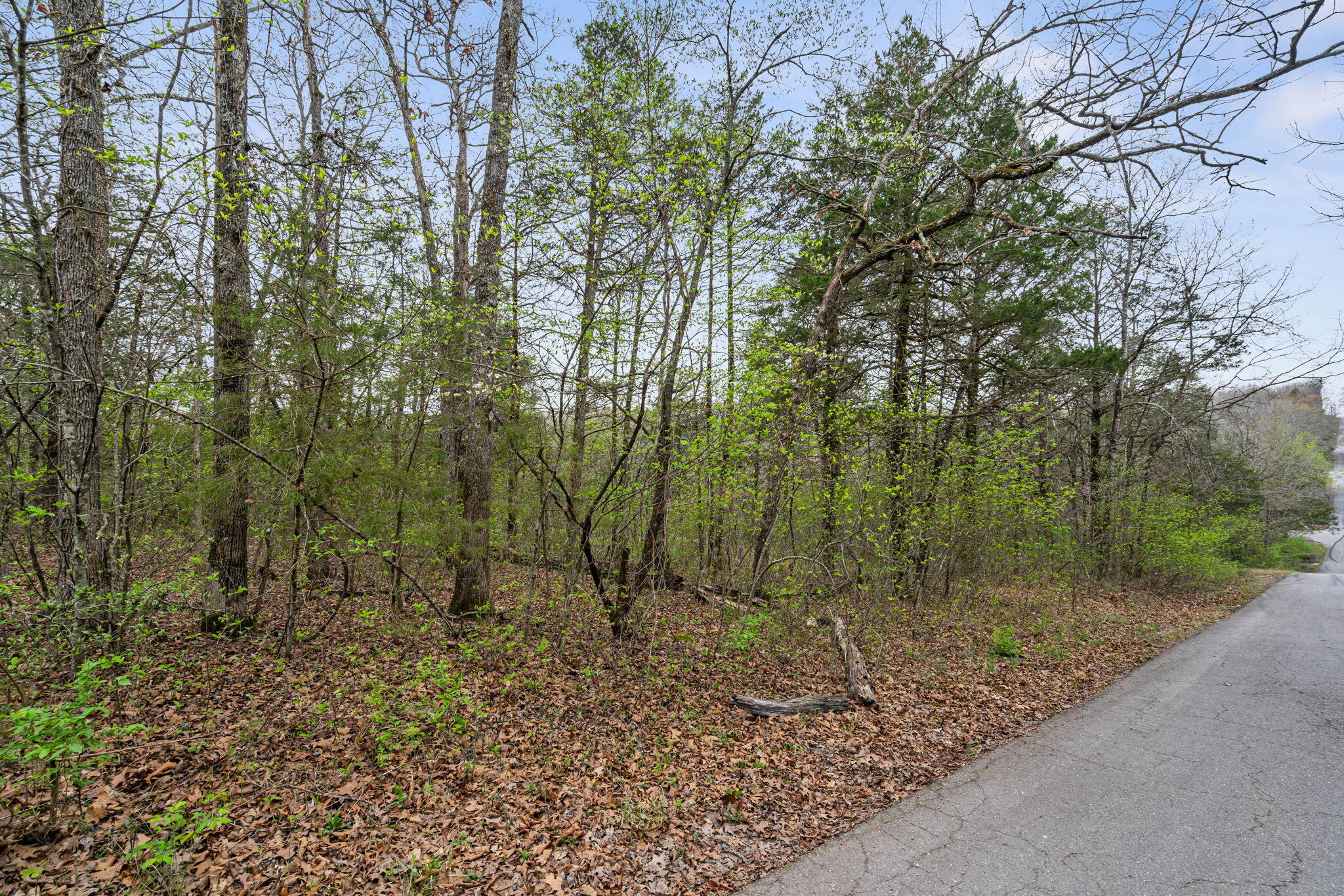 Photo 4 - Land for sale – 342 & 343  Turkey Mountain Estates   Shell Knob, MO