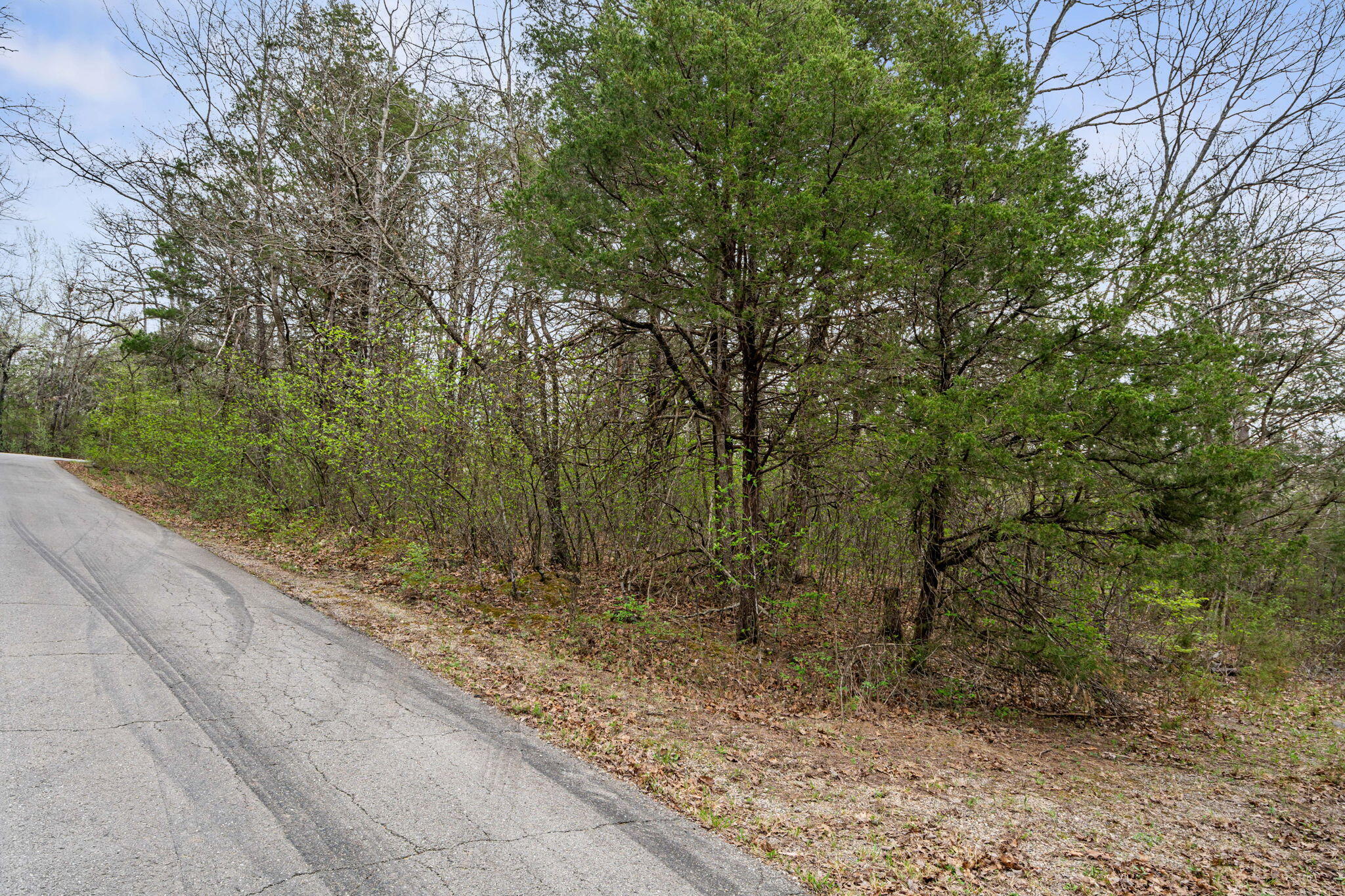 Photo 2 - Land for sale – 342 & 343  Turkey Mountain Estates   Shell Knob, MO