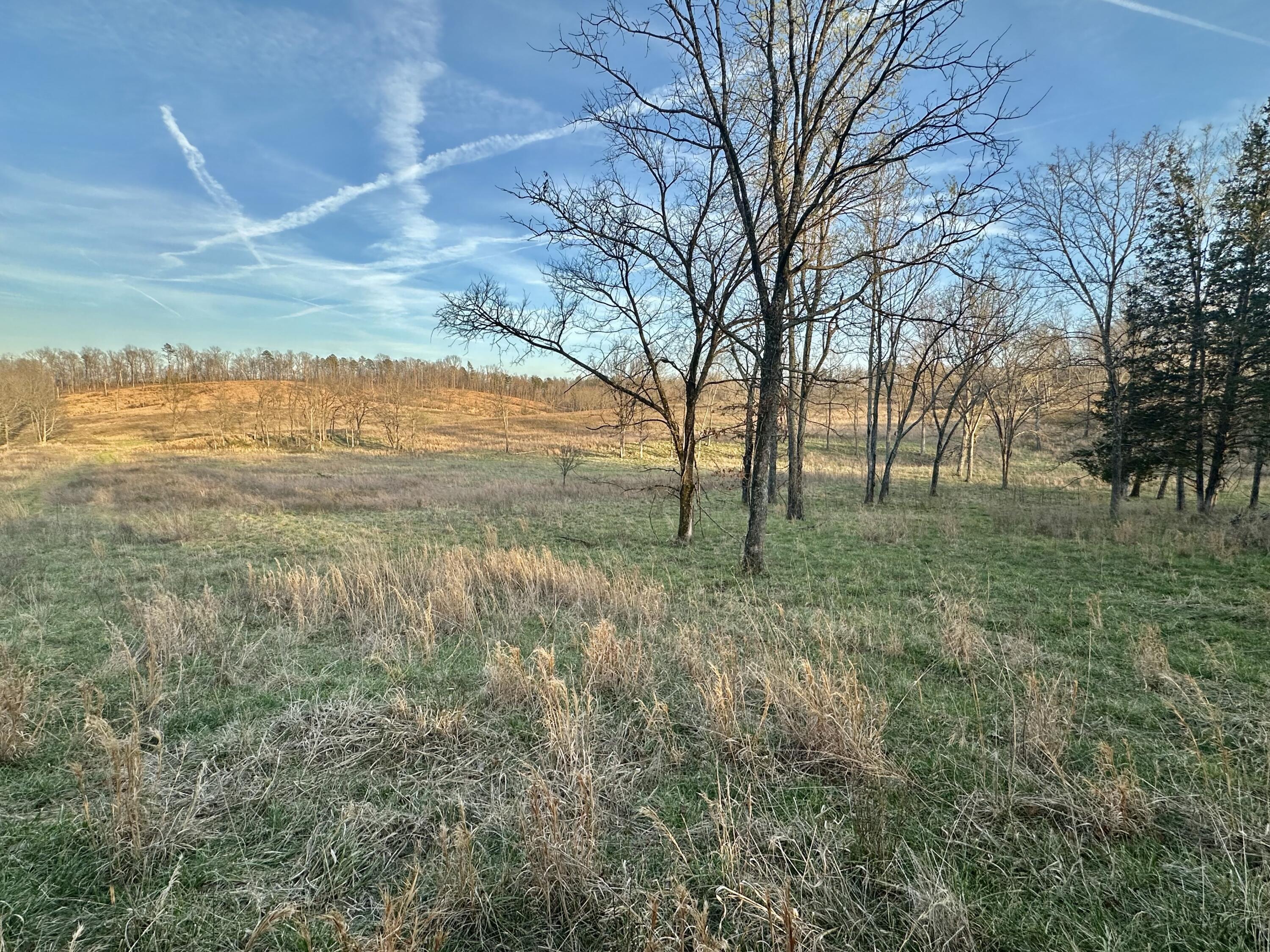 Photo 62 - Residential for sale – 741  Co Rd 574   Piedmont, MO