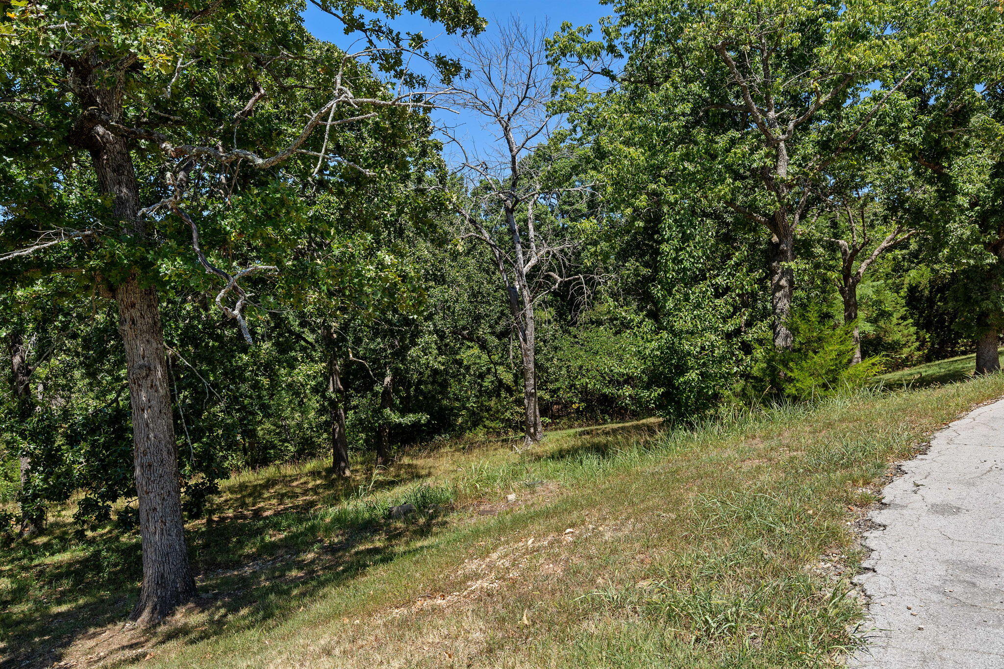 Photo 13 - Land for sale – Lot 51a  Oleary Drive  Kimberling City, MO