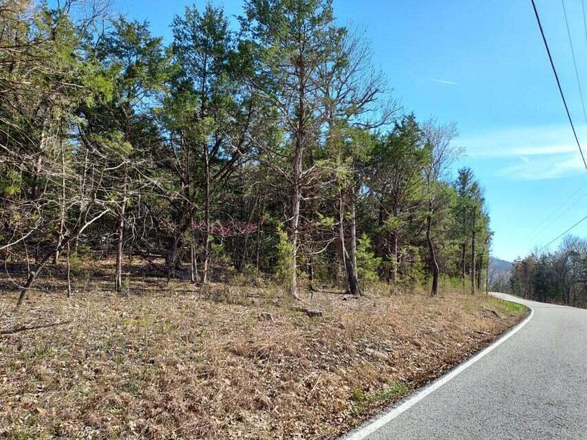 Photo 10 - Land for sale – 2022  Pokeberry Lane  Lampe, MO