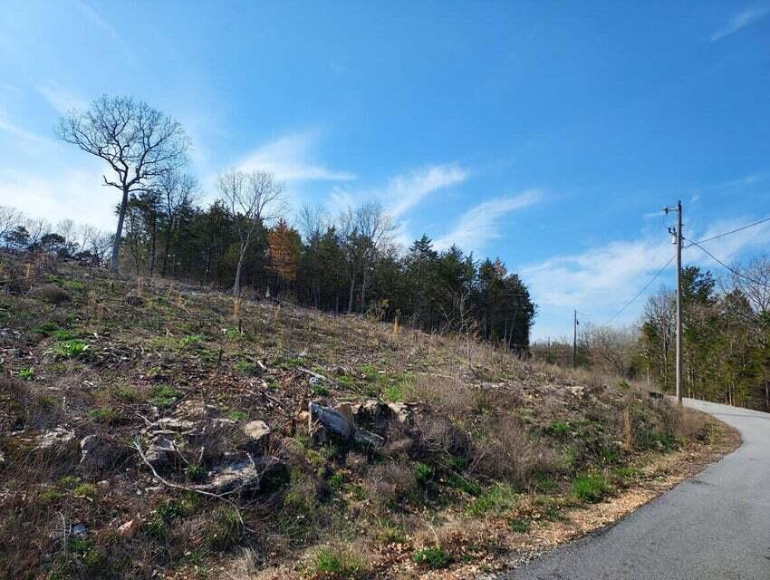 Photo 7 - Land for sale – 2022  Pokeberry Lane  Lampe, MO