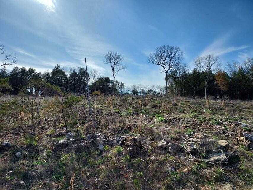 Photo 8 - Land for sale – 2022  Pokeberry Lane  Lampe, MO