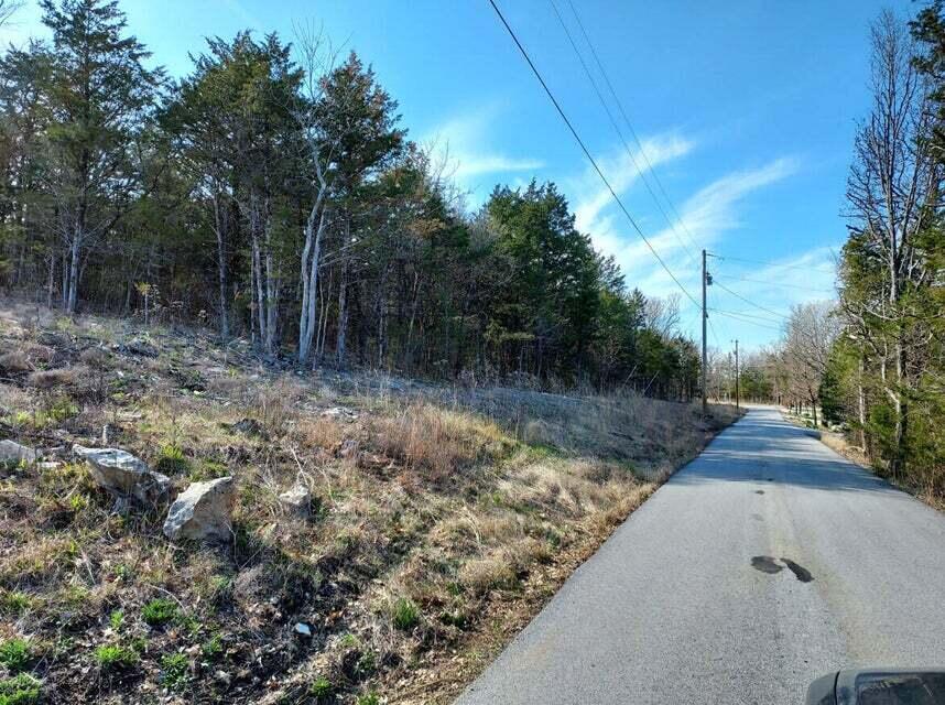Photo 9 - Land for sale – 2022  Pokeberry Lane  Lampe, MO