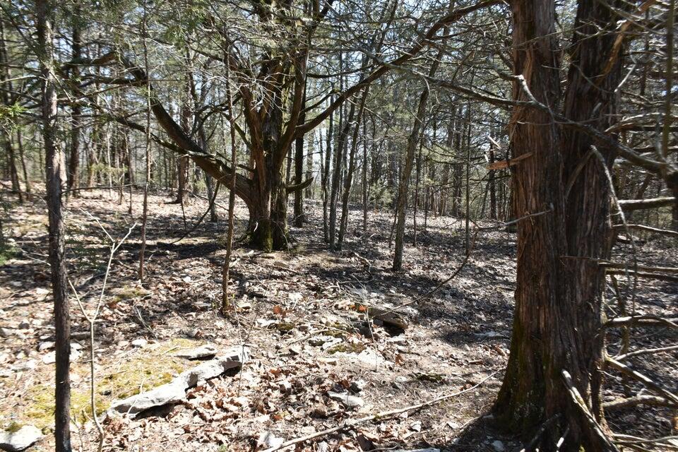 Photo 2 - Land for sale – 000  Burk Road  Highlandville, MO