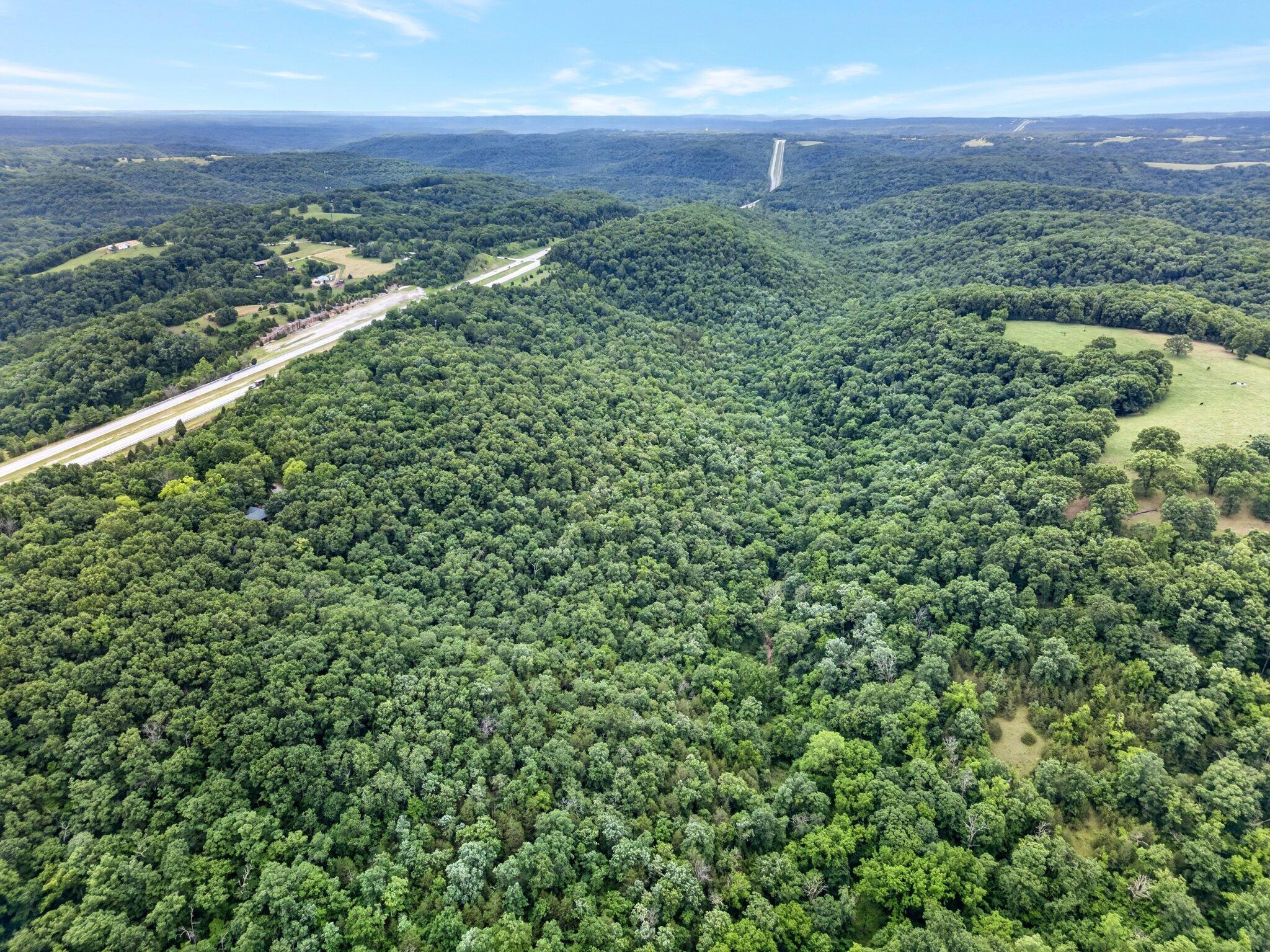Photo 6 - Land for sale – 000  Burk Road  Highlandville, MO
