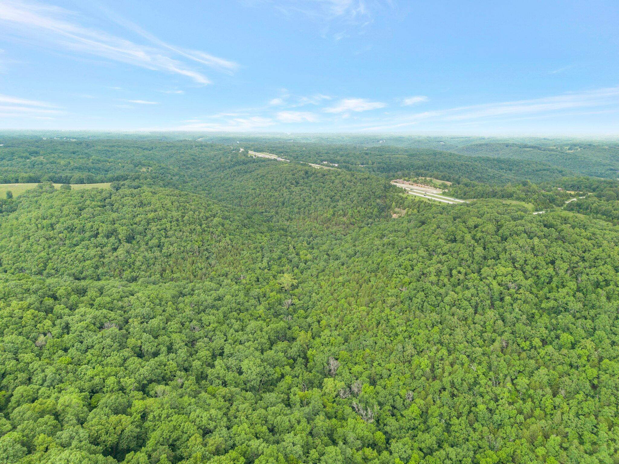Photo 9 - Land for sale – 000  Burk Road  Highlandville, MO