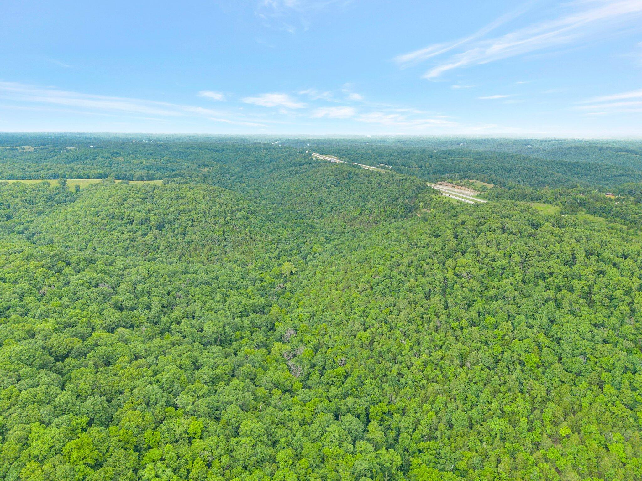 Photo 10 - Land for sale – 000  Burk Road  Highlandville, MO