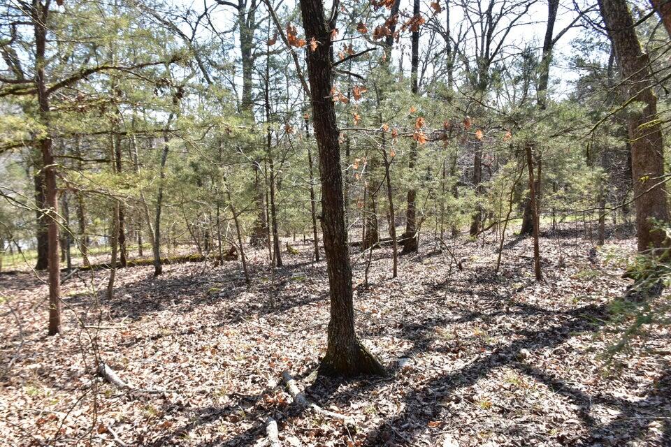 Photo 4 - Land for sale – 000  Burk Road  Highlandville, MO