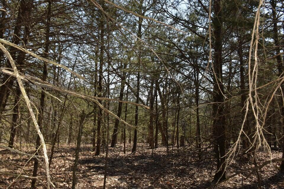Photo 3 - Land for sale – 000  Burk Road  Highlandville, MO