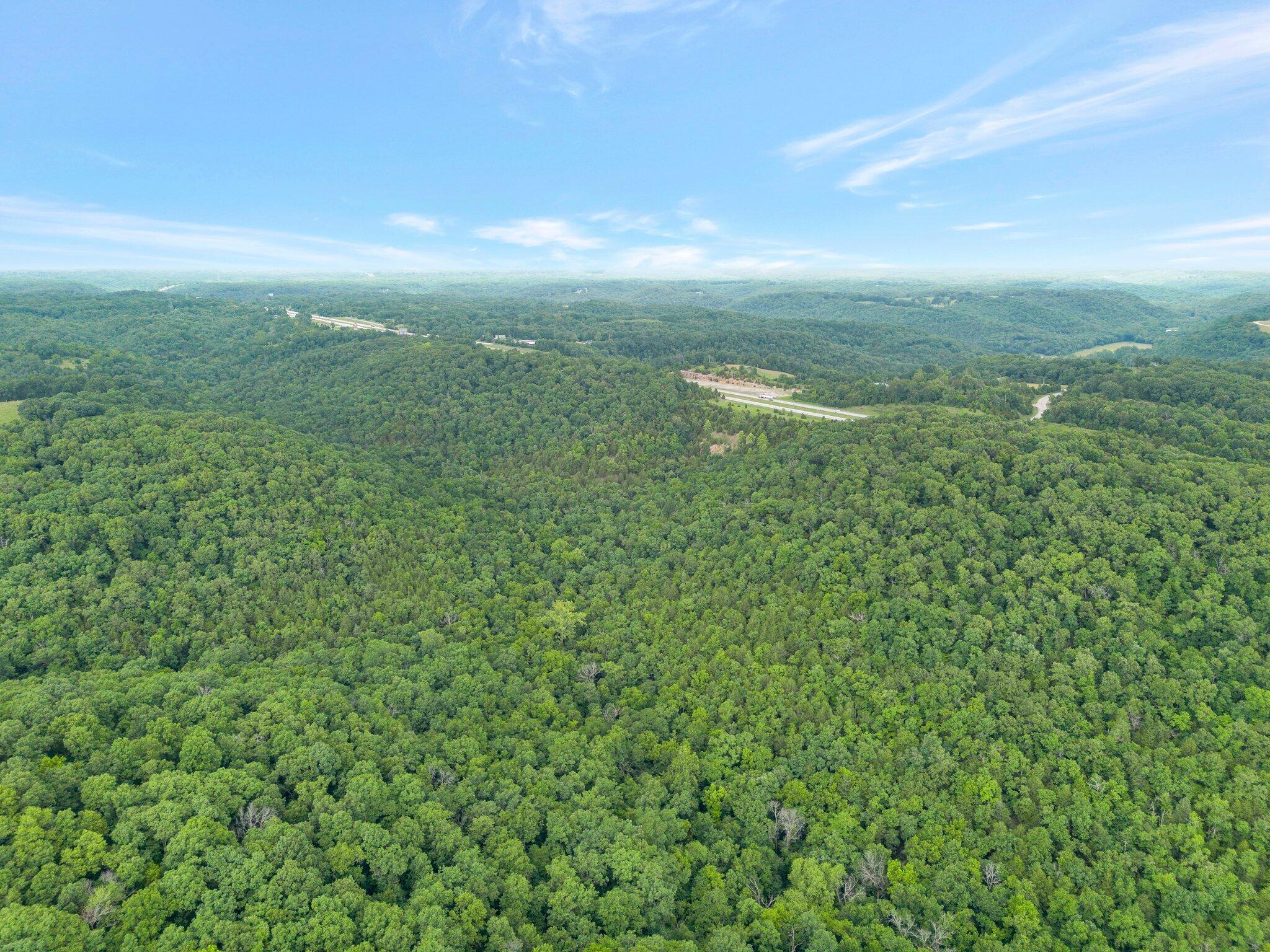 Photo 8 - Land for sale – 000  Burk Road  Highlandville, MO
