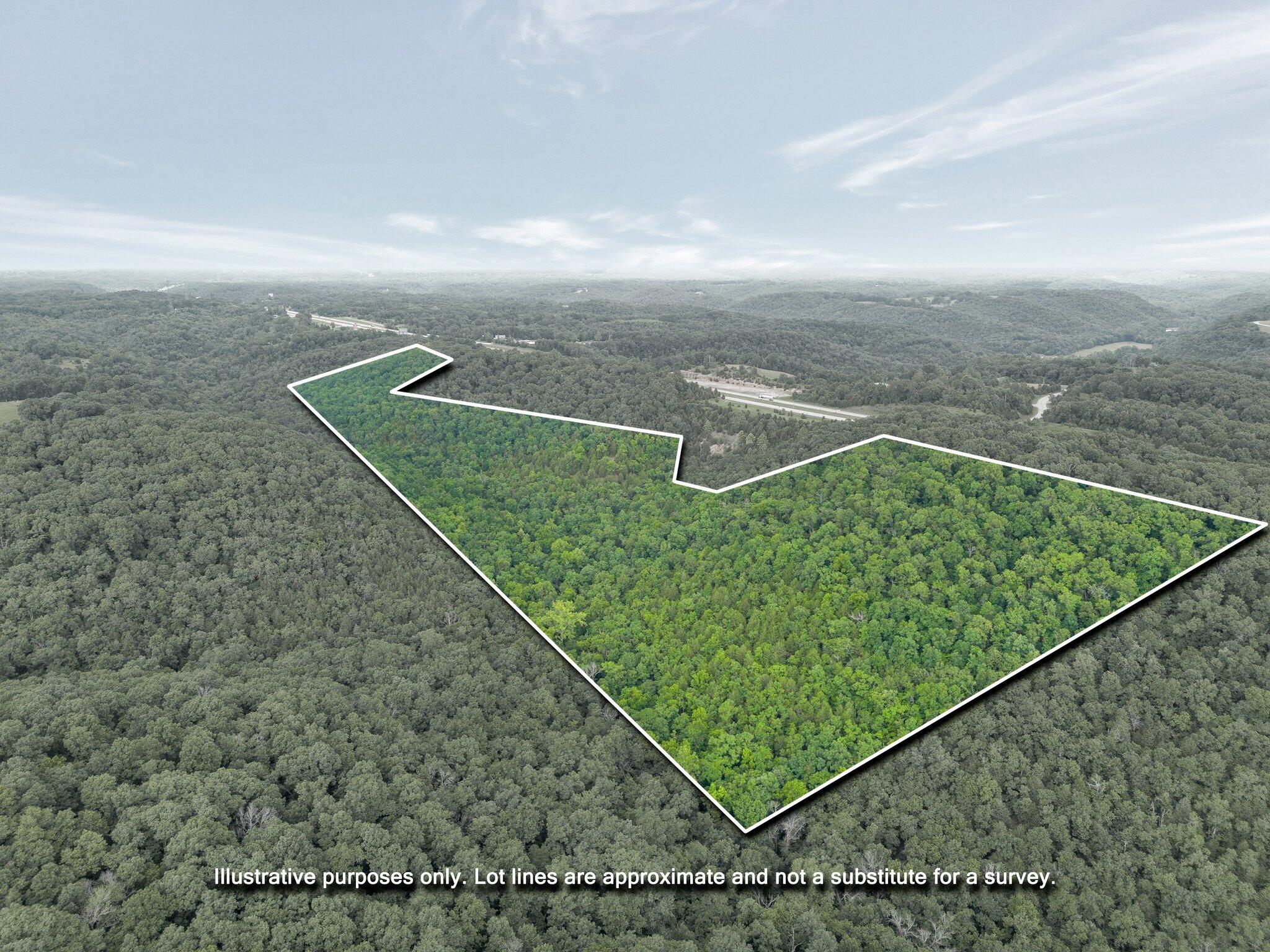 Photo 11 - Land for sale – 000  Burk Road  Highlandville, MO
