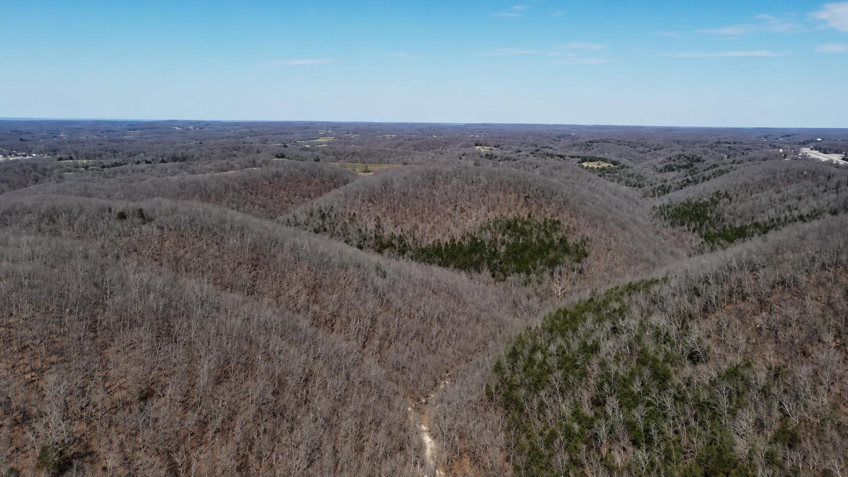 Land for sale – 000  Burk Road  Highlandville, MO