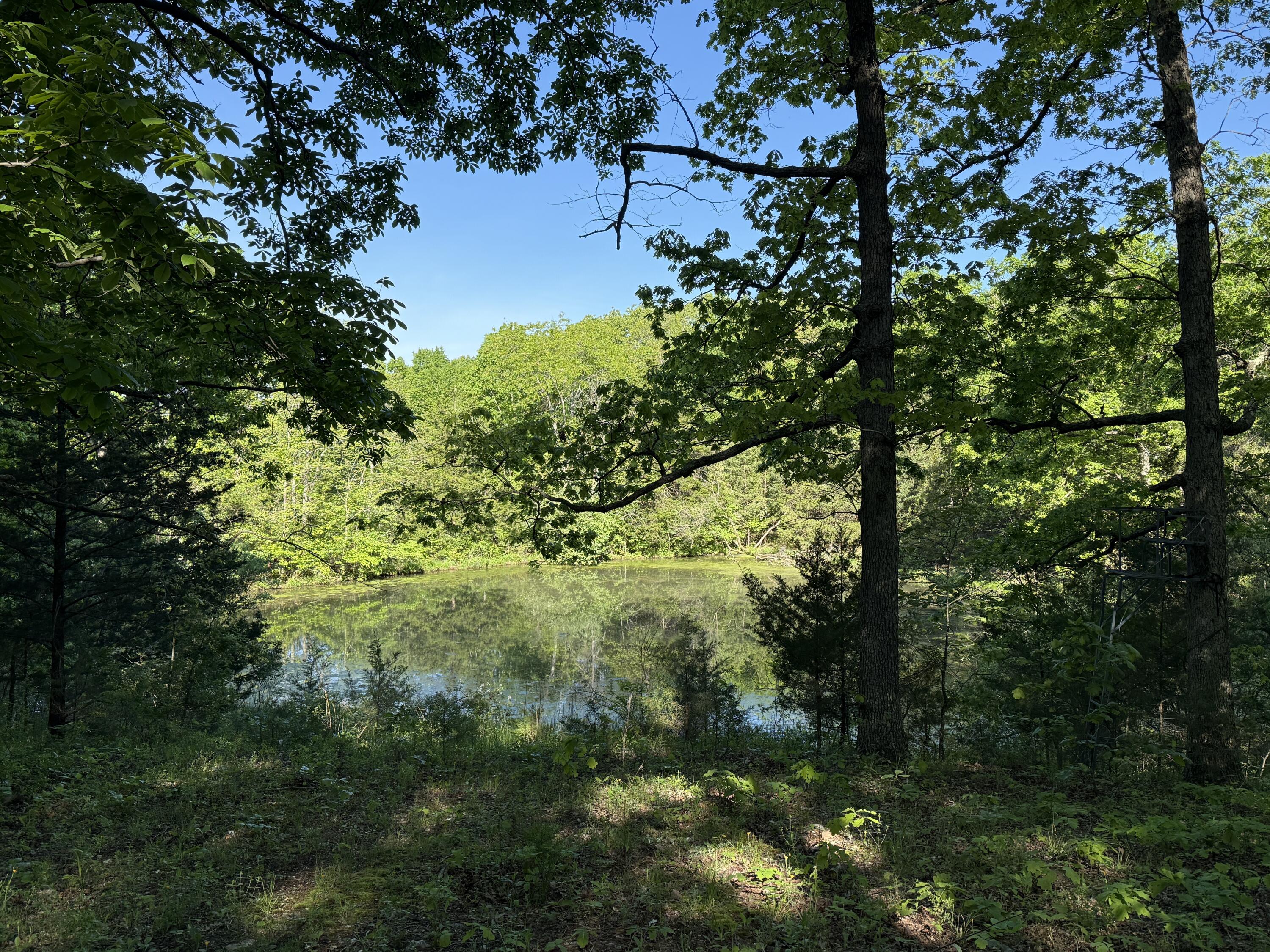 Photo 24 - Residential for sale – 13080  County Road Ee   Cabool, MO