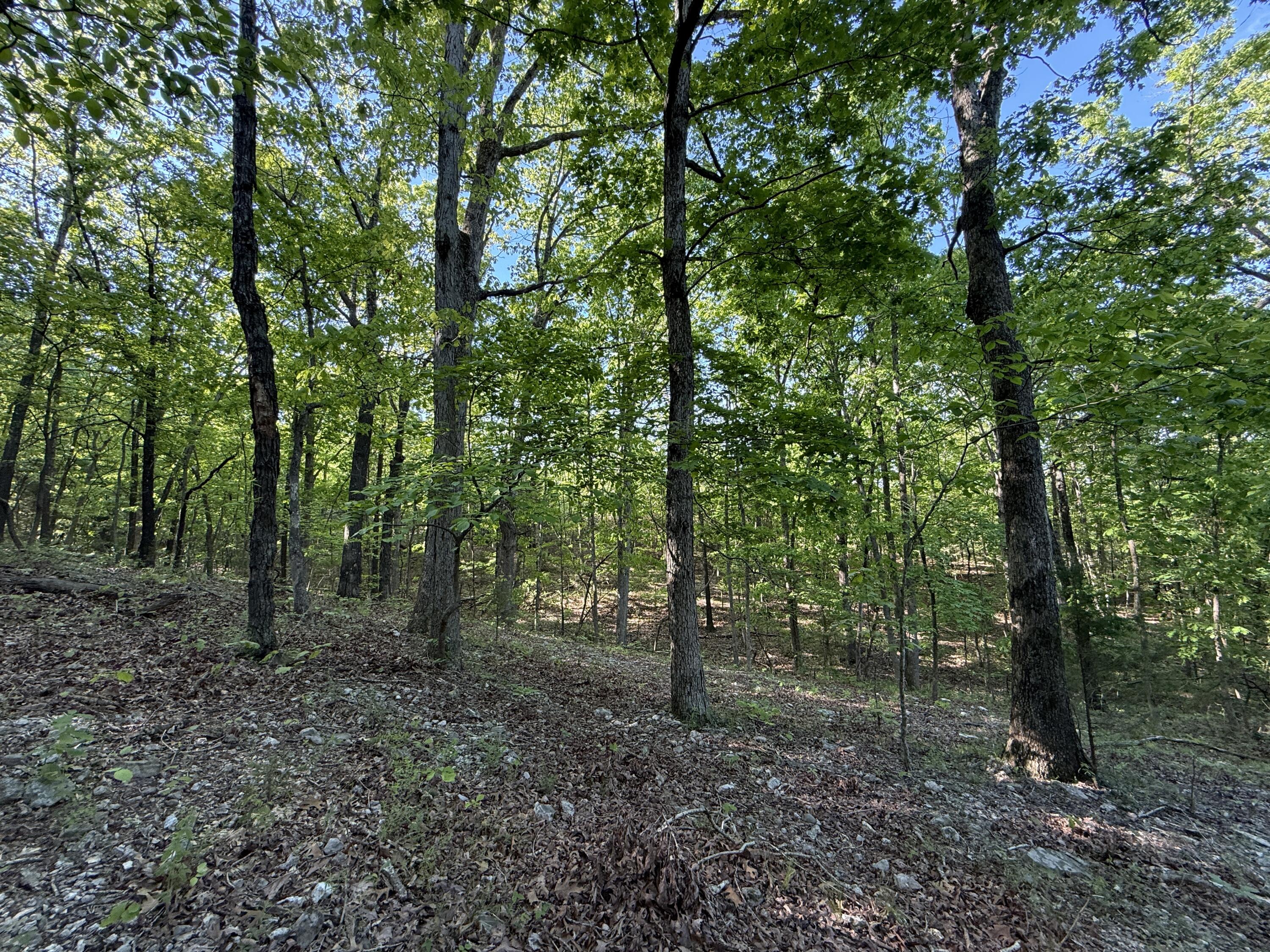 Photo 27 - Residential for sale – 13080  County Road Ee   Cabool, MO