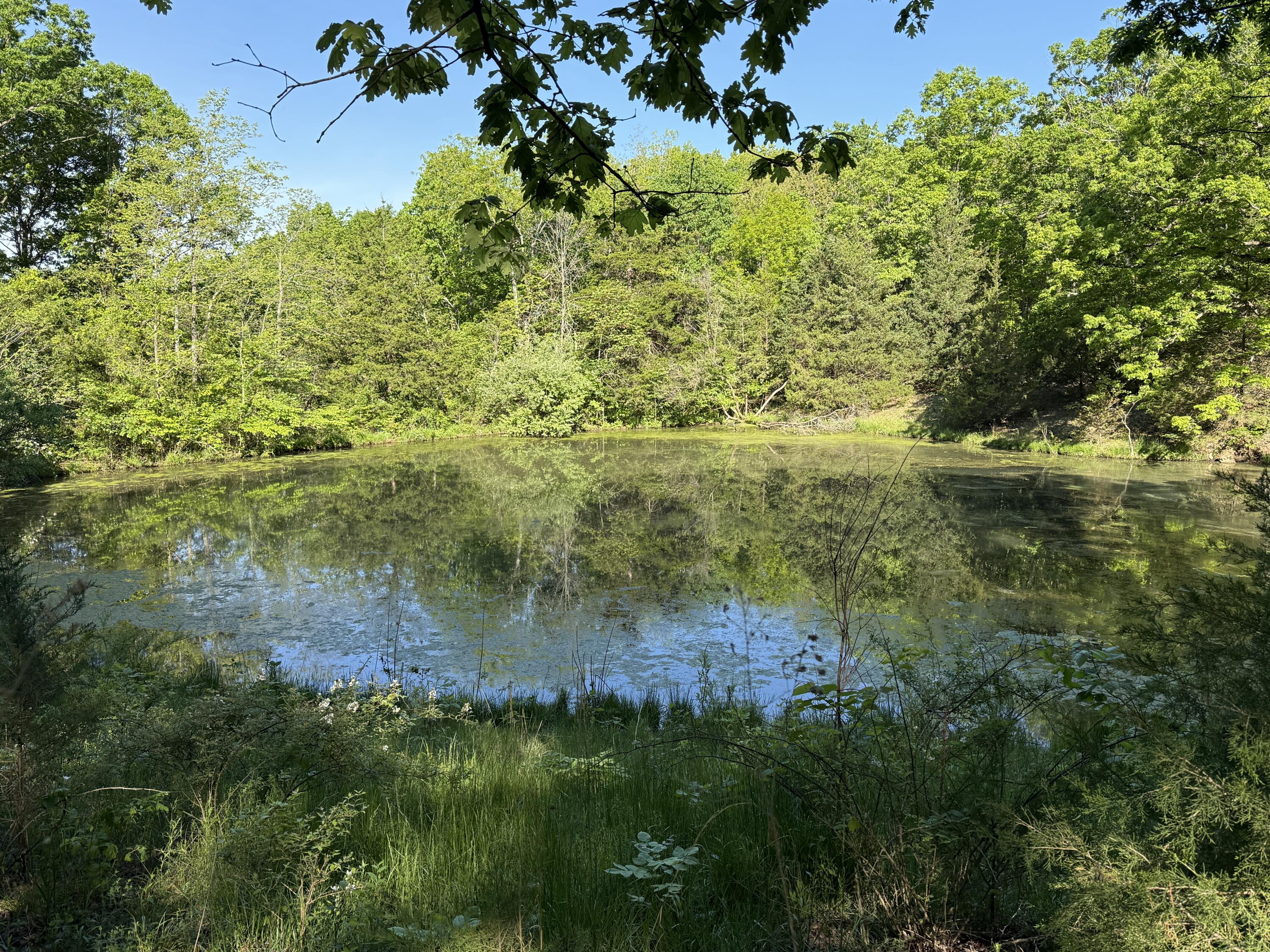 Photo 2 - Residential for sale – 13080  County Road Ee   Cabool, MO